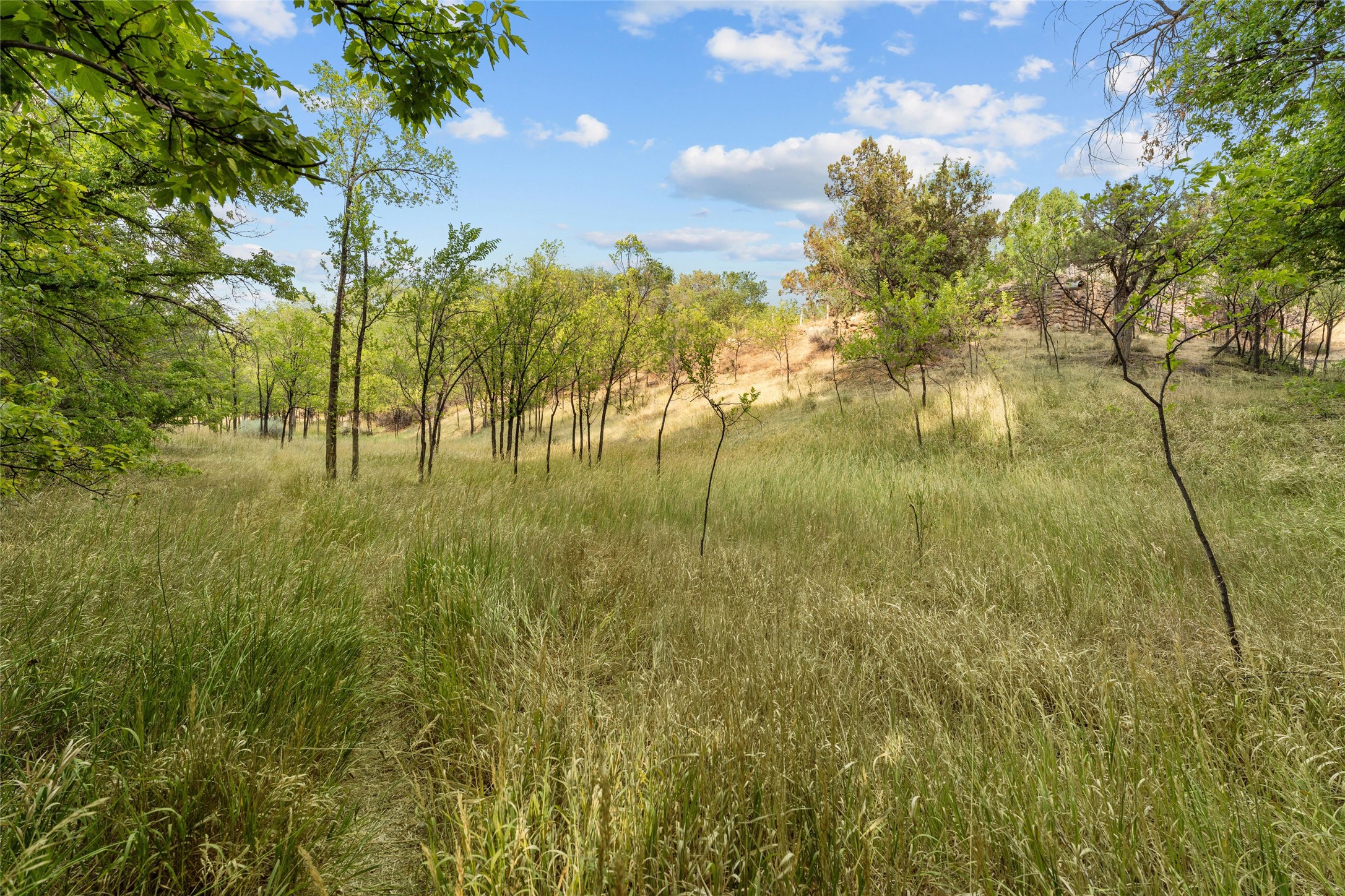  1523 Upper Canyon Road - 物件實景
