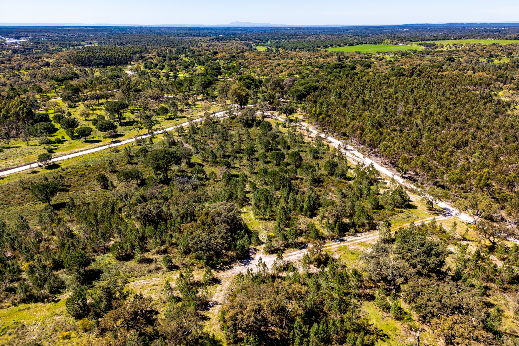  Stand for Sale - 物件實景