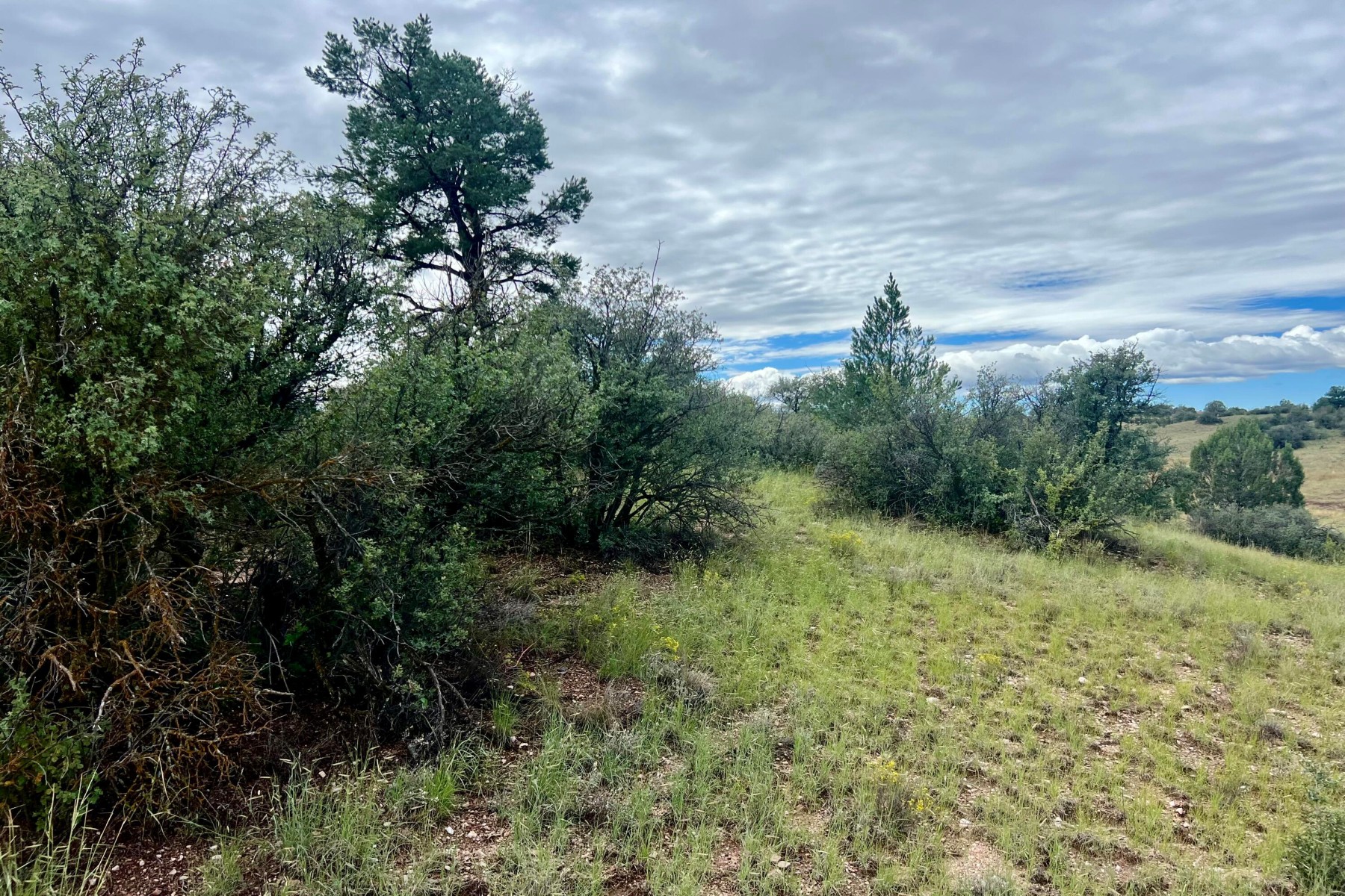  14565 N Puntenney Road¦Prescott, AZ - 物件實景