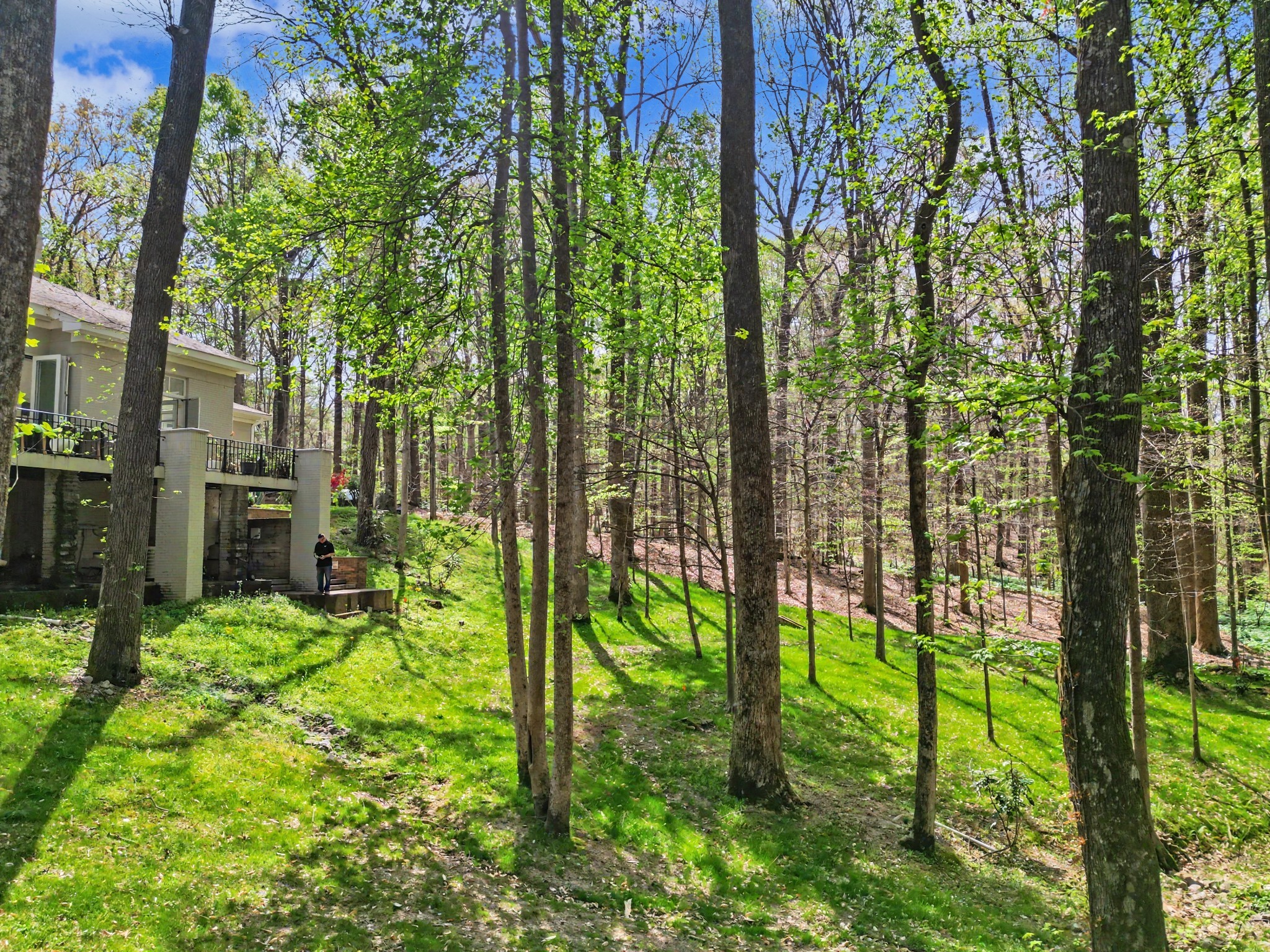  9 Windwood Dr, Jackson, TN, 38305 - 物件實景