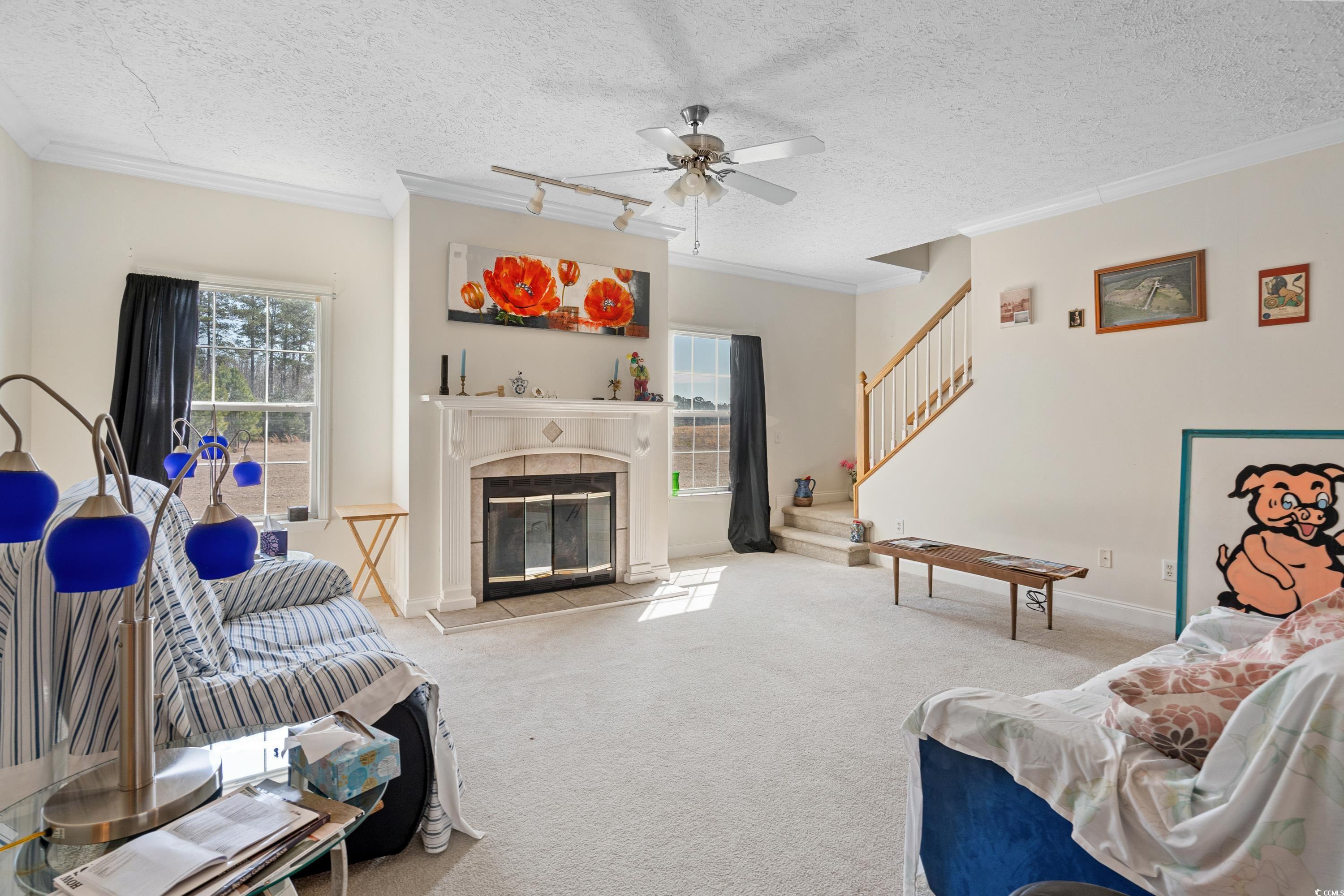 Longs, South Carolina, 29568, United States, ,Land,For Sale,1838298