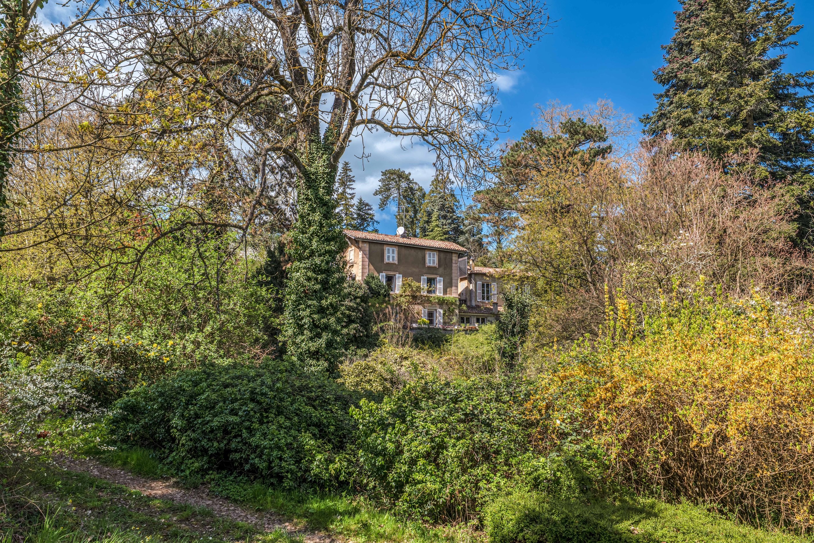  Maison - 物件實景