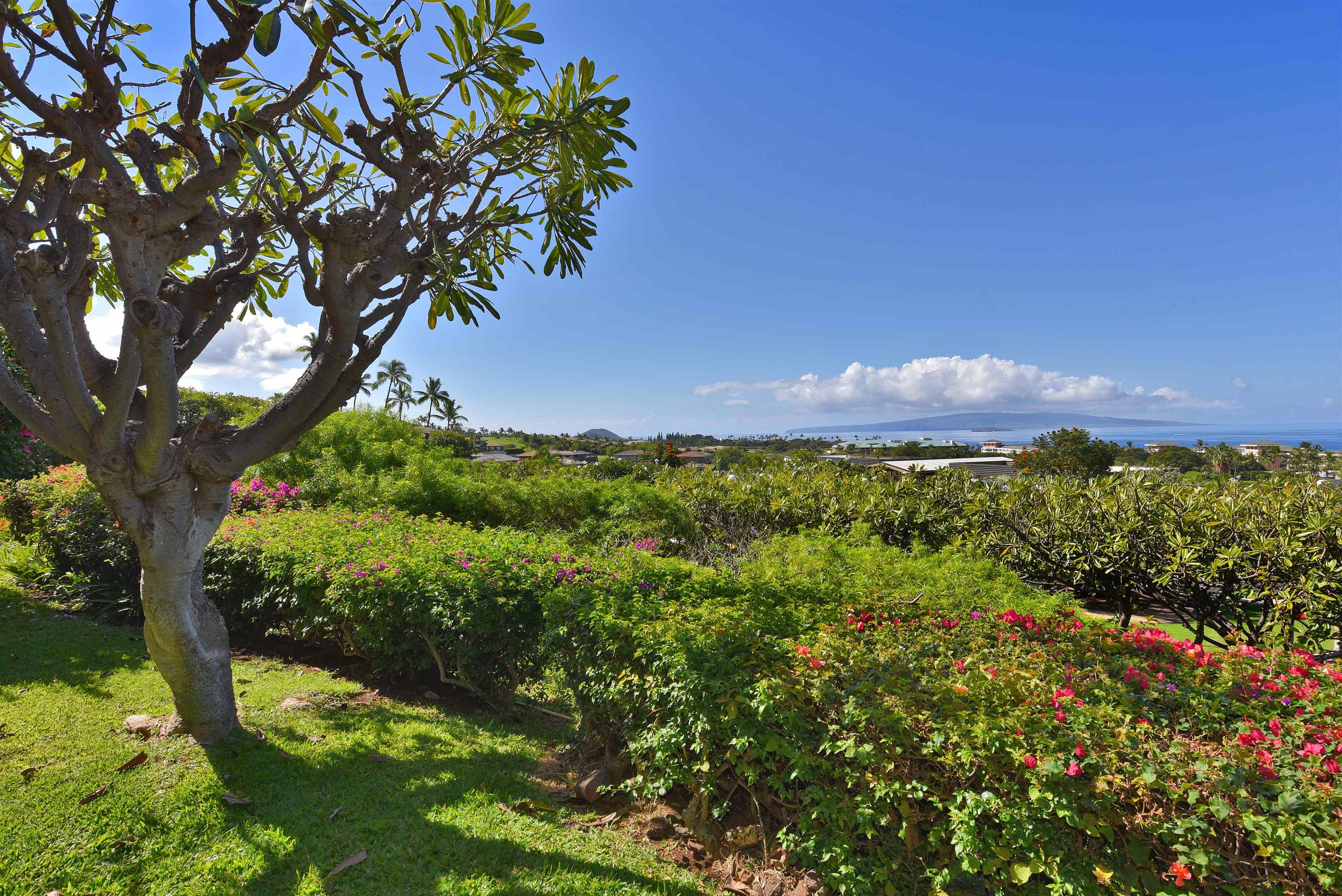 Kihei, Hawaii, 96753, United States, 2 Bedrooms Bedrooms, ,2 BathroomsBathrooms,Residential,For Sale,2000743