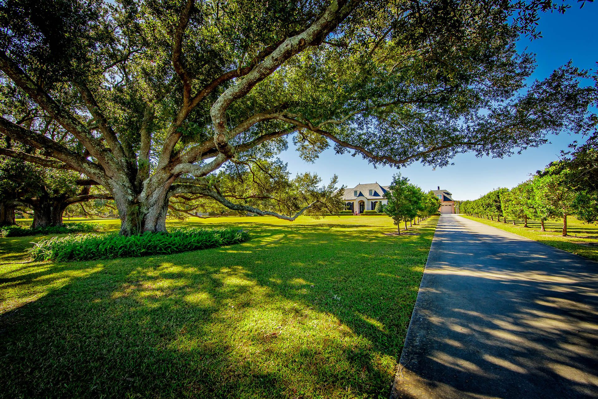 Houma, Louisiana, 70360, United States, 3 Bedrooms Bedrooms, ,4 BathroomsBathrooms,Residential,For Sale,2000974