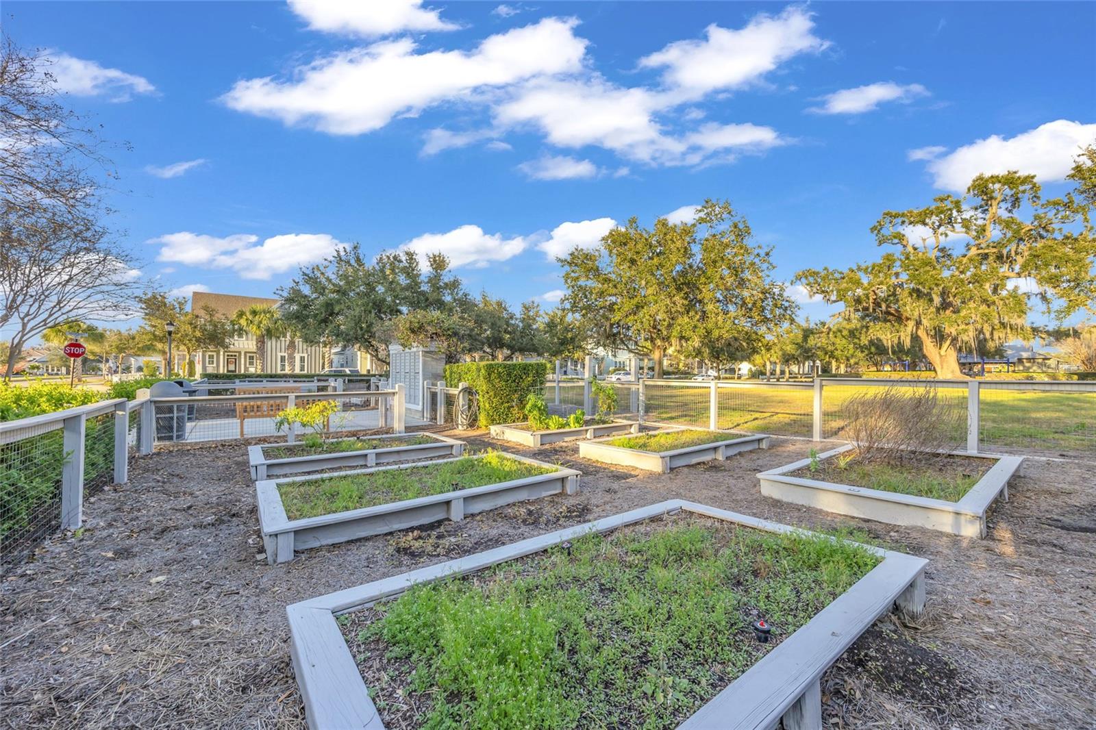 WINTER GARDEN, Florida, 34787, United States, 4 Bedrooms Bedrooms, ,4 BathroomsBathrooms,Residential,For Sale,2014519