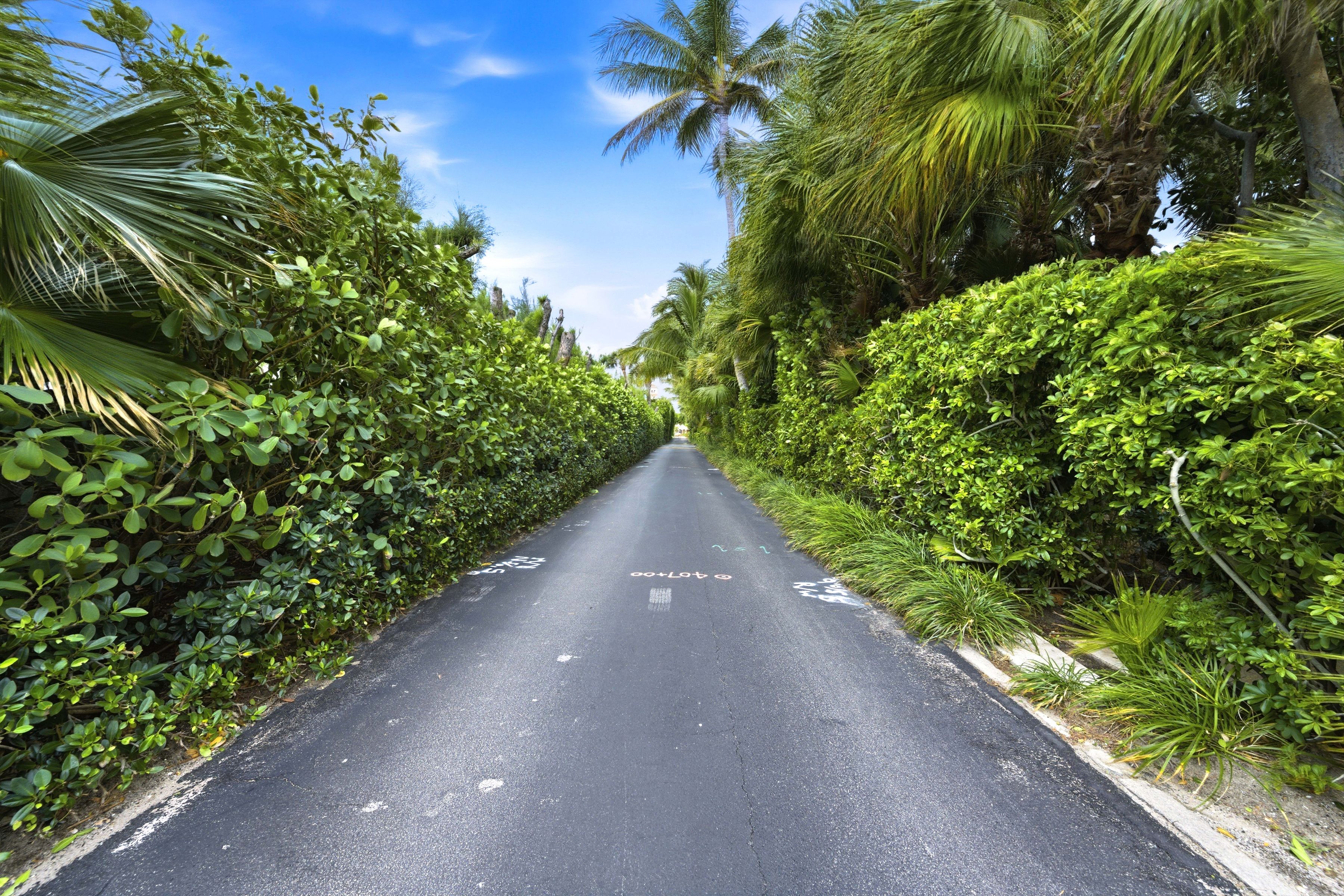  139 Sunrise Avenue 102 - 物件實景