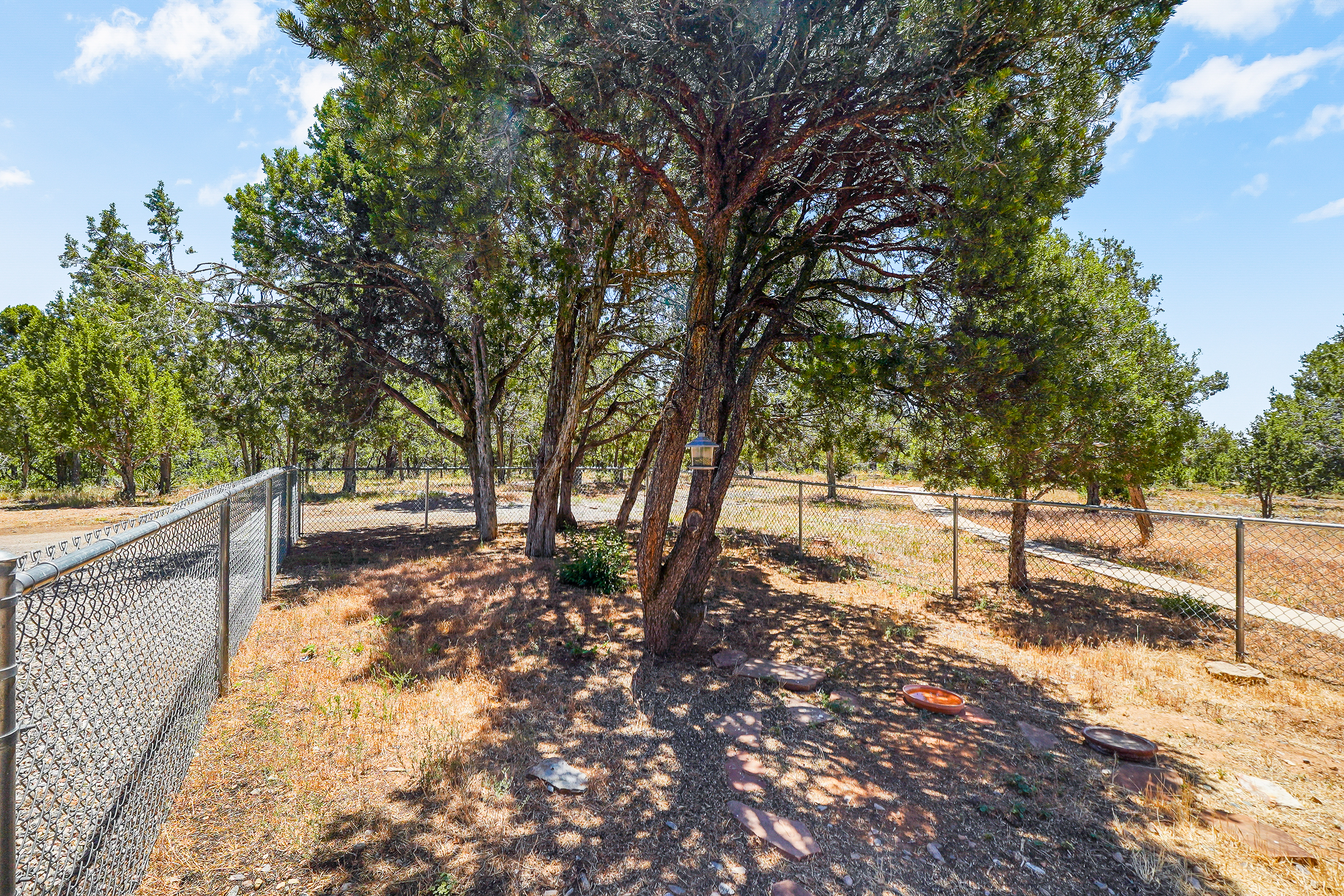  1326 County Road 220, Durango, CO 81303 - 物件實景