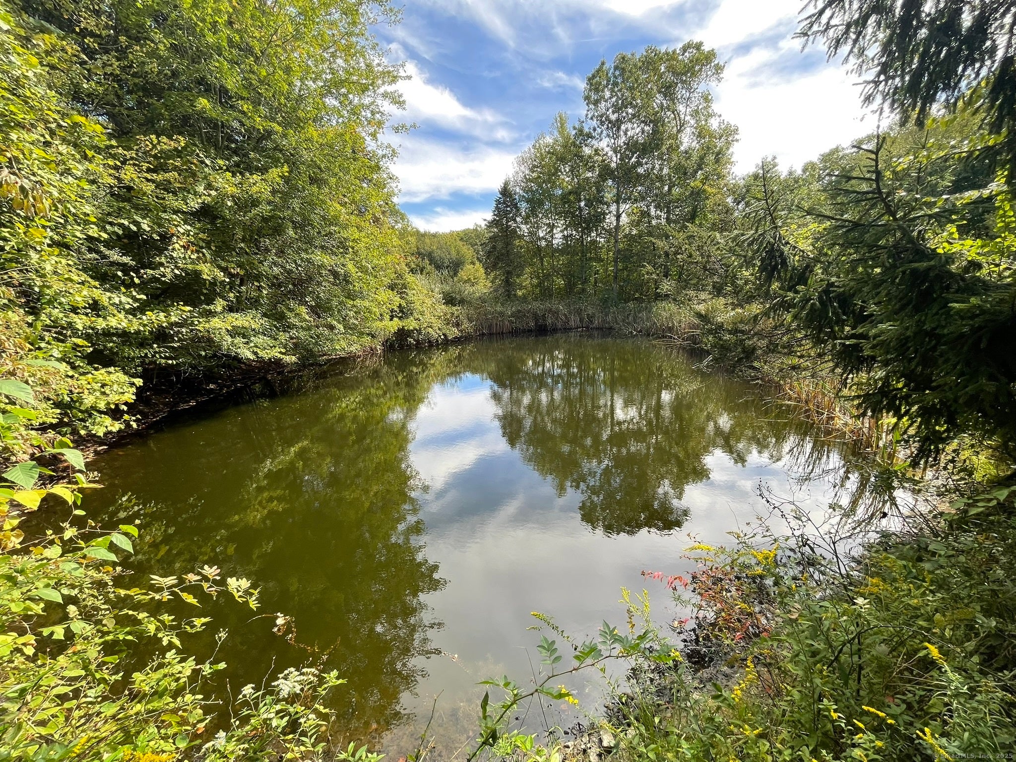 Old Lyme, Connecticut, 06371, United States, ,Land,For Sale,1979689