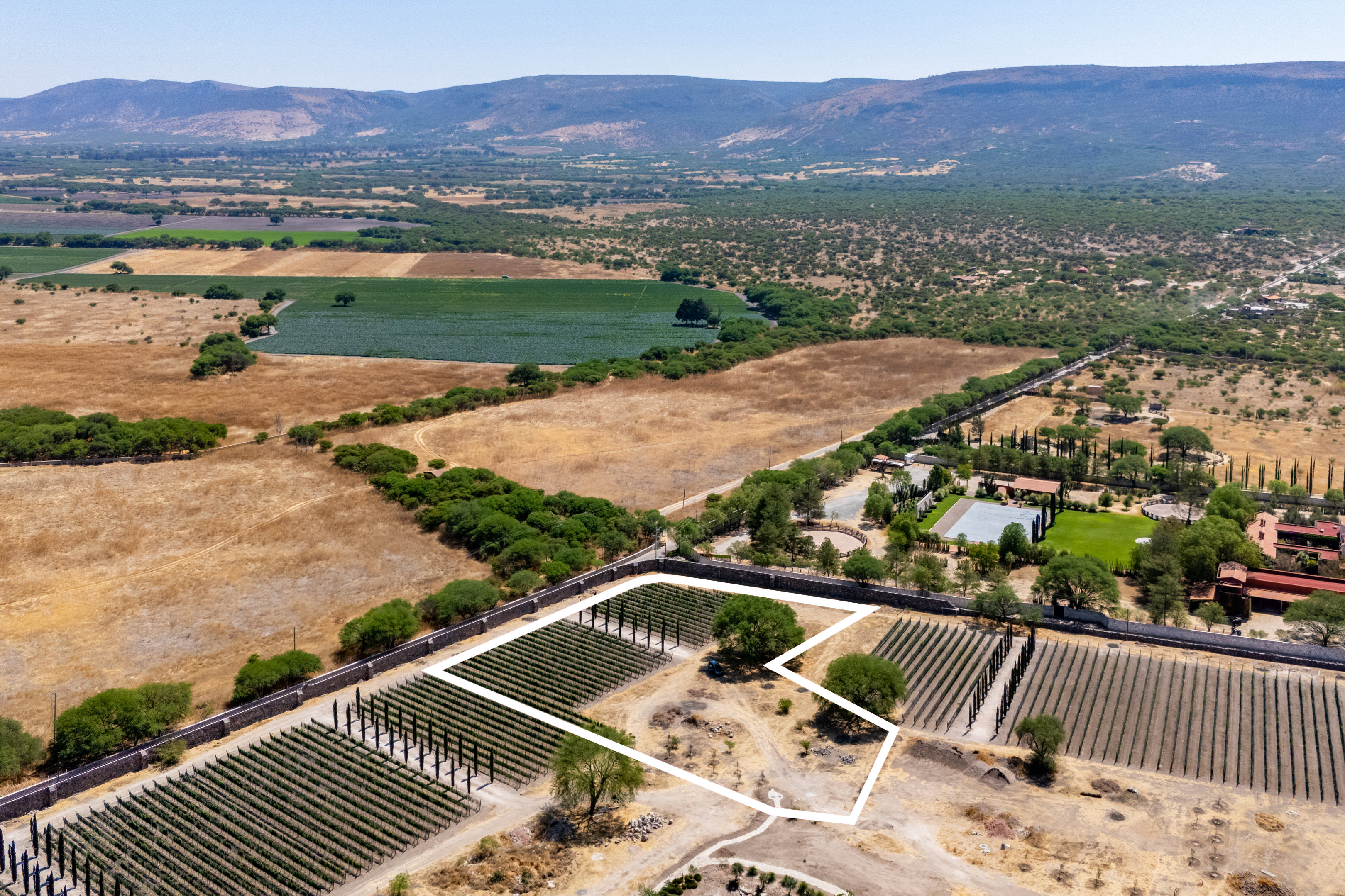  Viñedos Patria Lots - 物件實景