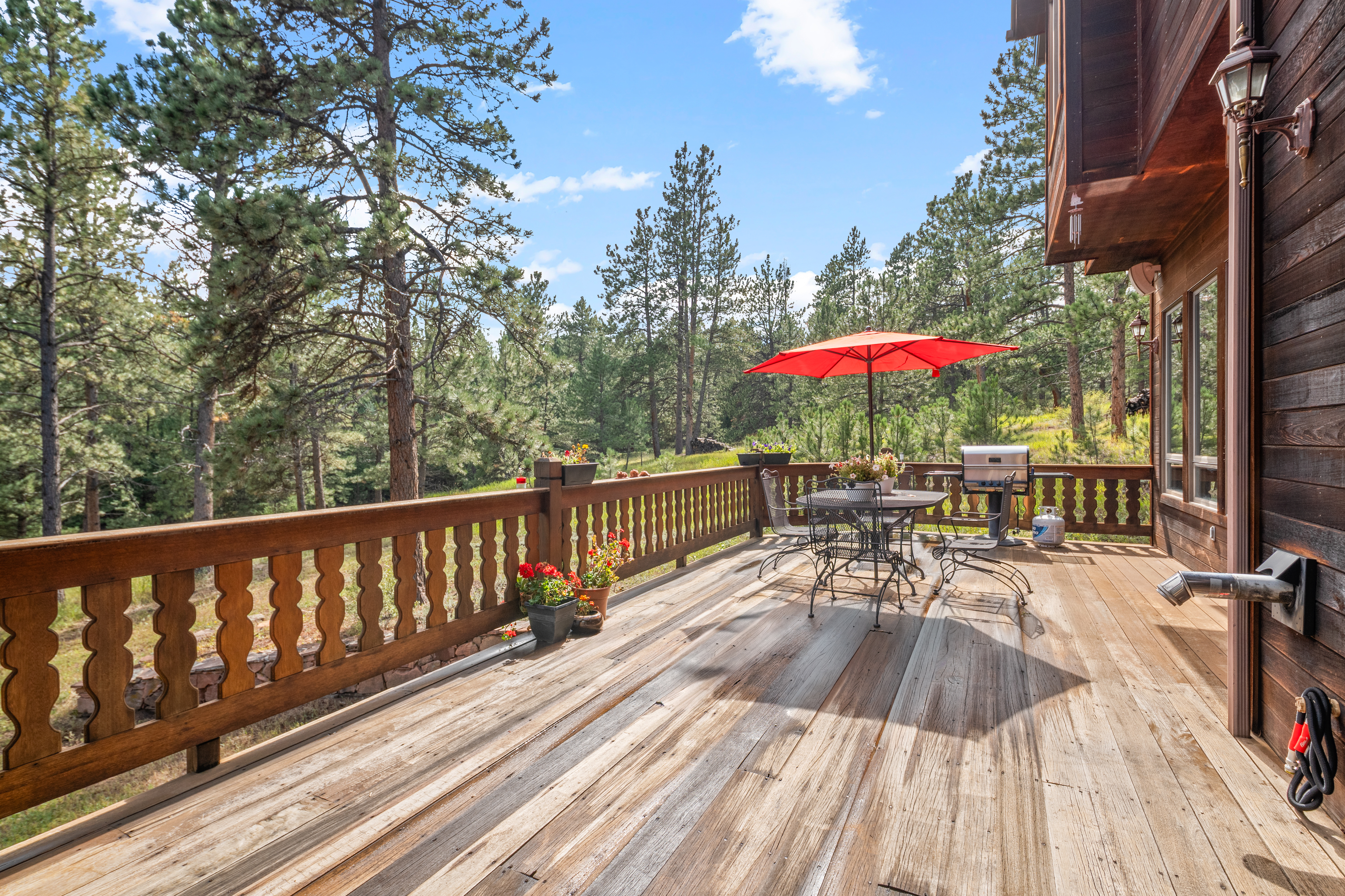  Perfect Blend of Space and Colorado Living That Backs to Pike National Forest - 物件實景