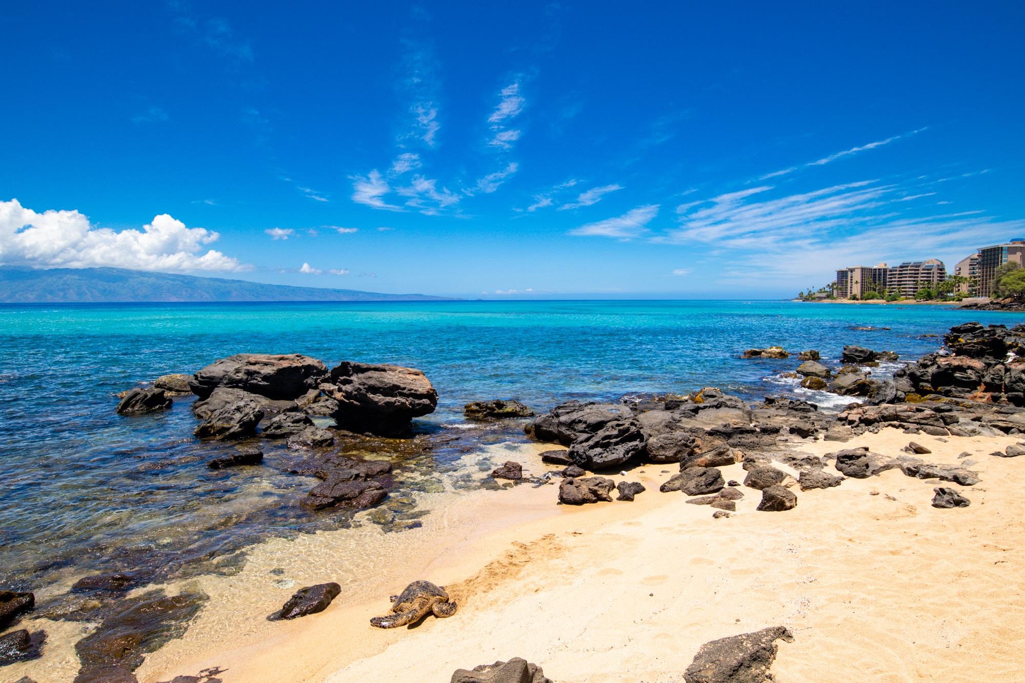 Lahaina, Hawaii, 96761, United States, 1 Bedroom Bedrooms, ,1 BathroomBathrooms,Residential,For Sale,1995975