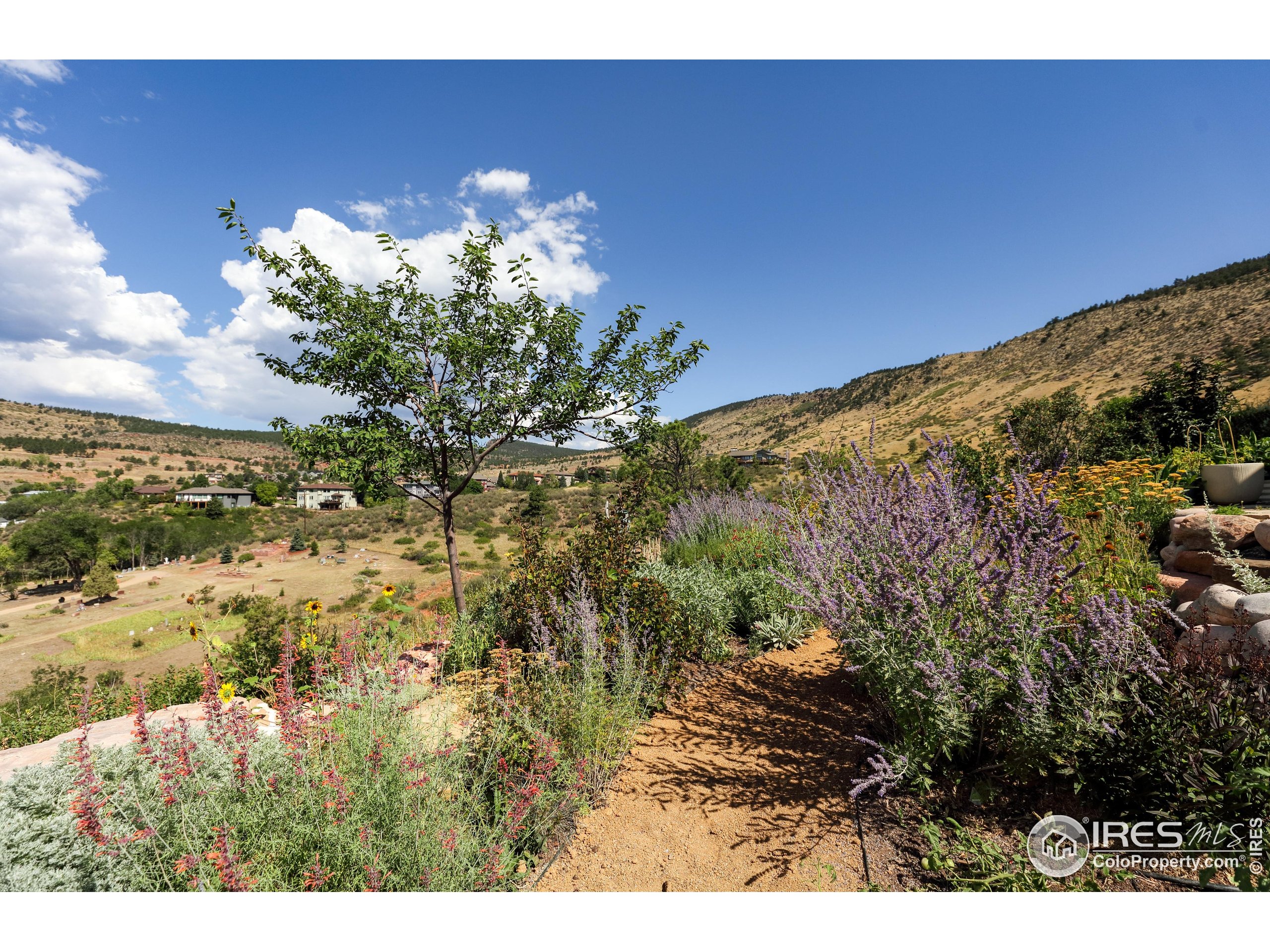 Lyons, Colorado, 80540, United States, 4 Bedrooms Bedrooms, ,2 BathroomsBathrooms,Residential,For Sale,1926189