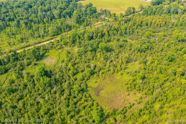 000 Willis Road, Burnside Twp, Michigan, 48416, United States, ,Land,For Sale,000 Willis Road,1288275