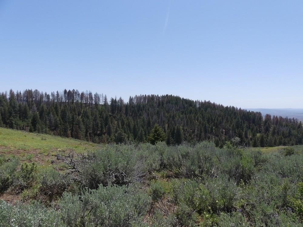 Indian Valley, Idaho, 83682, United States, ,Land,For Sale,1976667