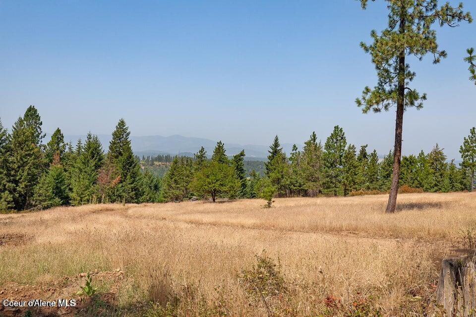 Harrison, Idaho, 83833, United States, ,Land,For Sale,2024065