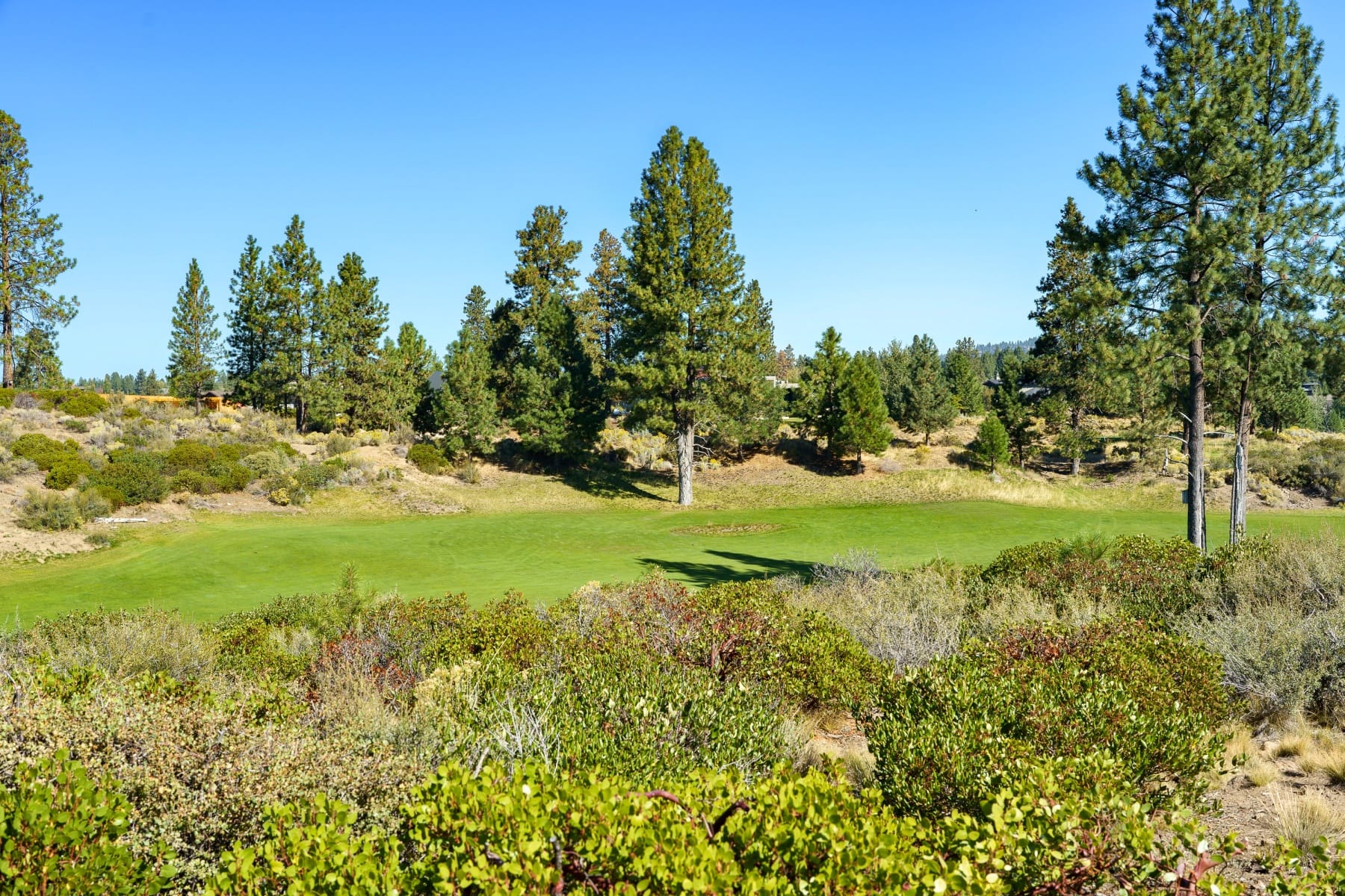  61365 Triple Knot Road Bend, OR 97702 - 物件實景