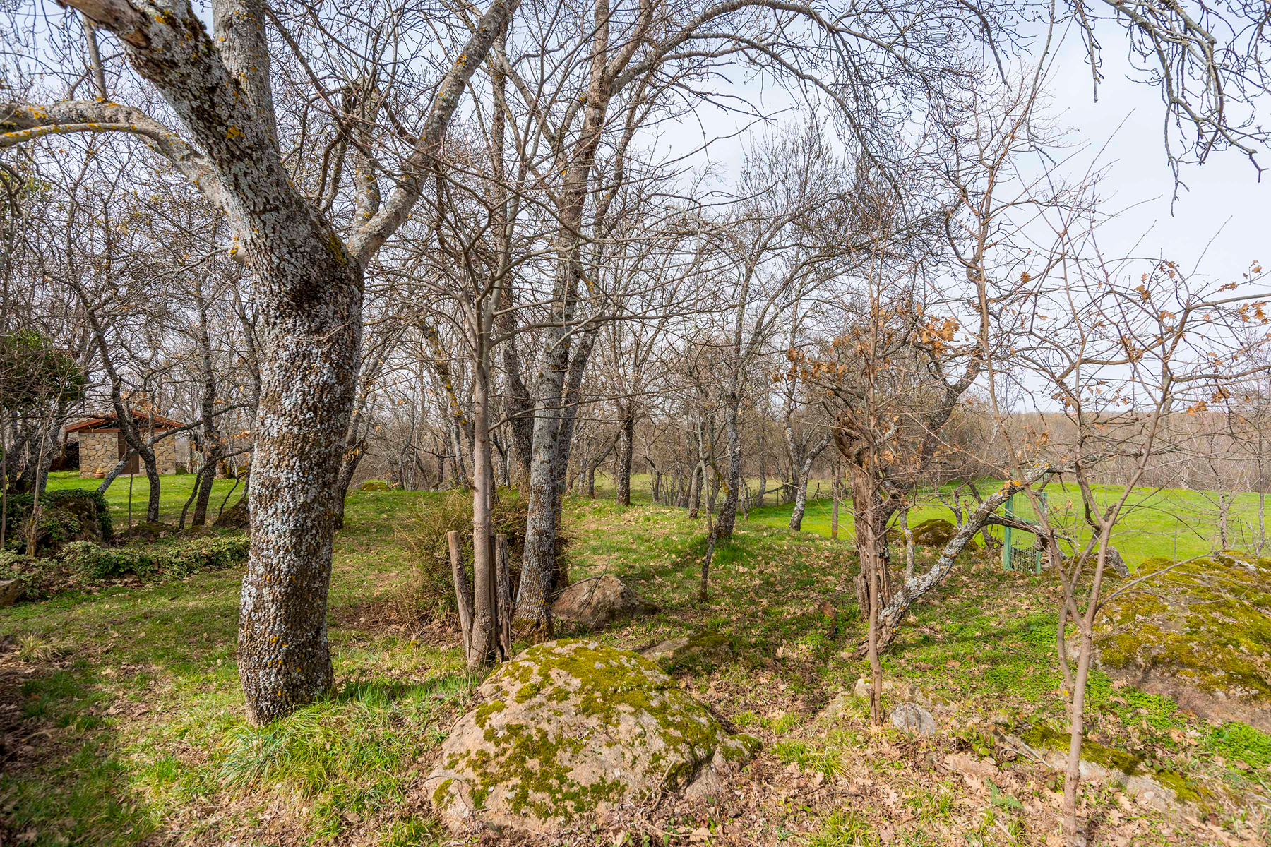  Spectacular estate for promotion in Sotosalbos, Segovia - 物件實景