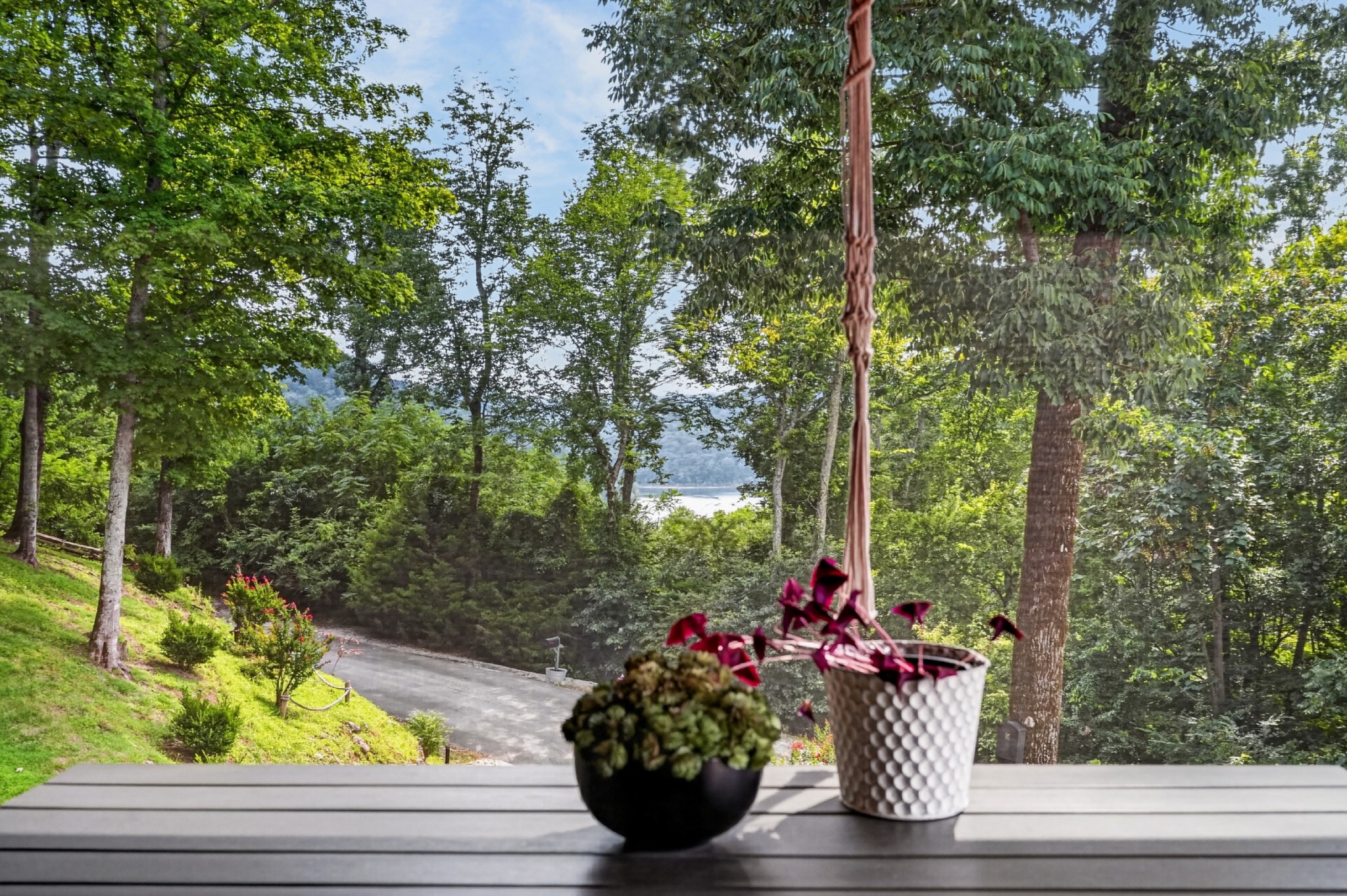  150 Dakota Ln, Smithville, TN, 37166 - 物件實景