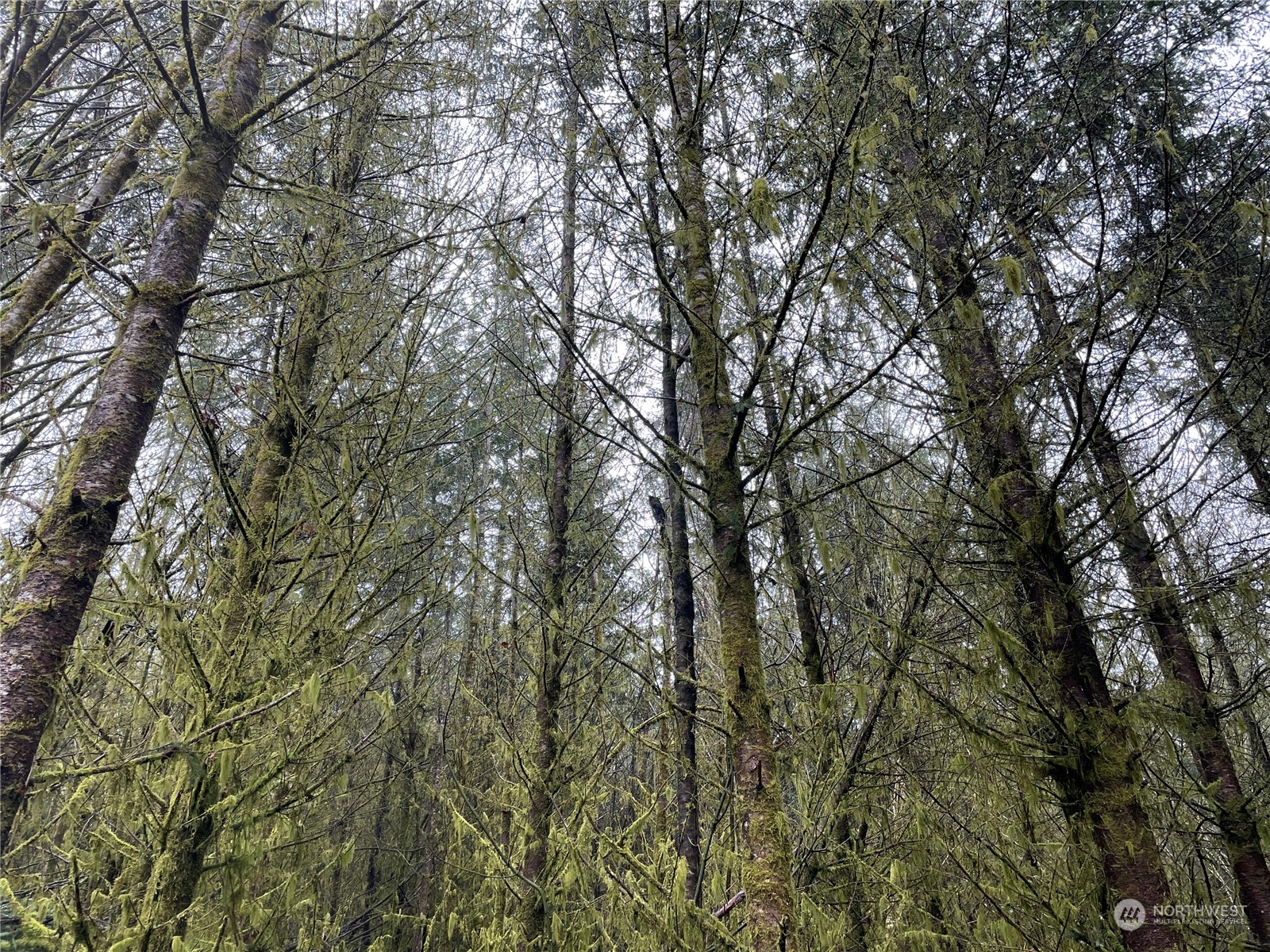 0 Fallert Road, Kalama, Washington, 98625, United States, ,Land,For Sale,0 Fallert Road,1273199