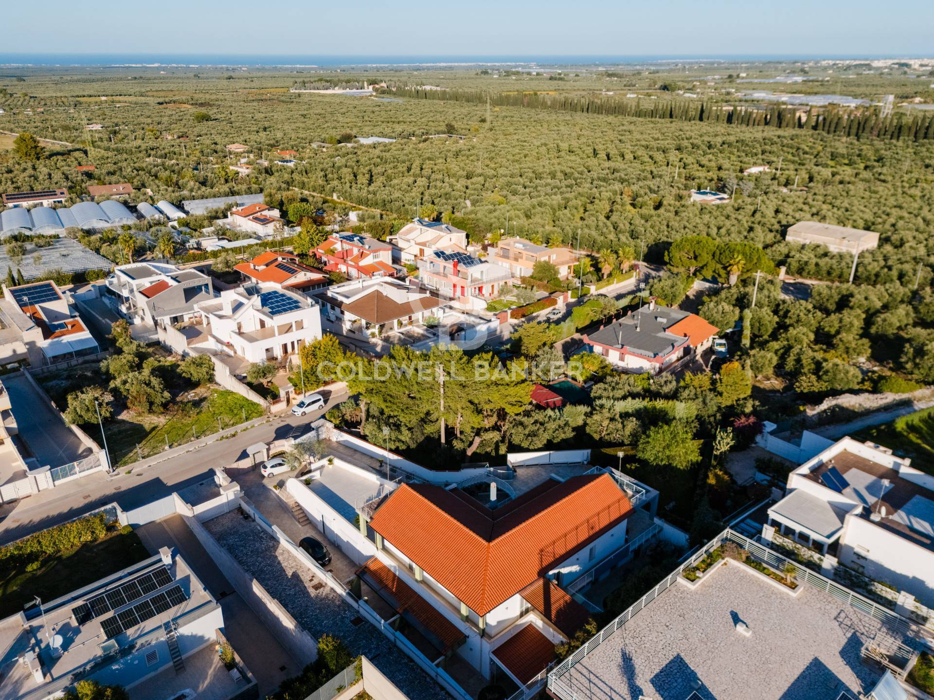 Ruvo di Puglia, Bari, 70037, IT, 4 Bedrooms Bedrooms, ,3 BathroomsBathrooms,Residential,For Sale,1987769