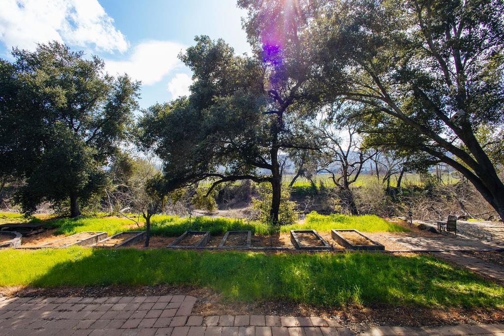 Saint Helena, California, 94574, United States, ,Residential,For Sale,1736432
