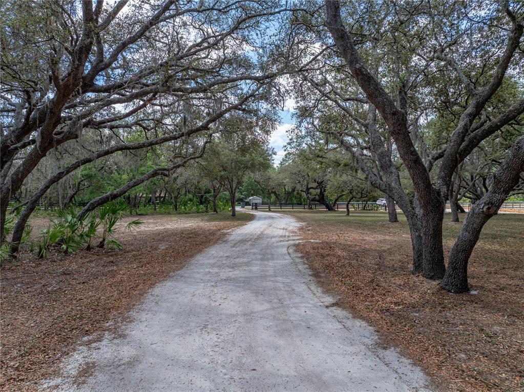 Lake Wales, Florida, 33898, United States, 3 Bedrooms Bedrooms, ,3 BathroomsBathrooms,Residential,For Sale,1793188