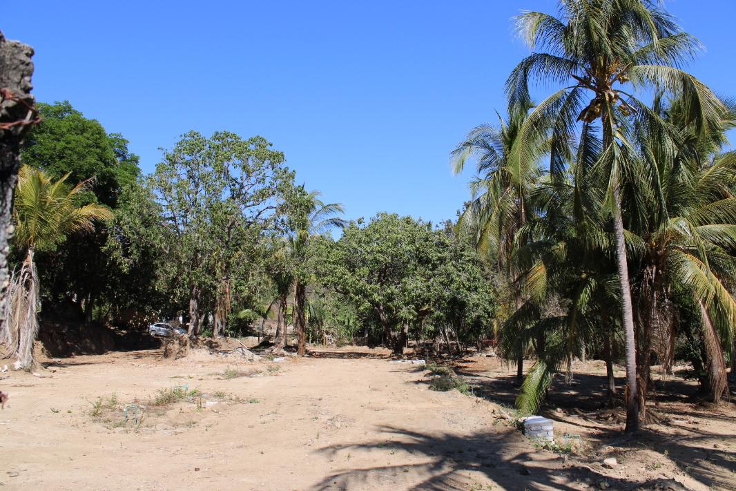 C Porfirio D?az, San Pedro Mixtepec -Dto. 22 -, Oaxaca, 71984, Mexico, 1 Bedroom Bedrooms, ,Residential,For Sale,C Porfirio D?az,1460888