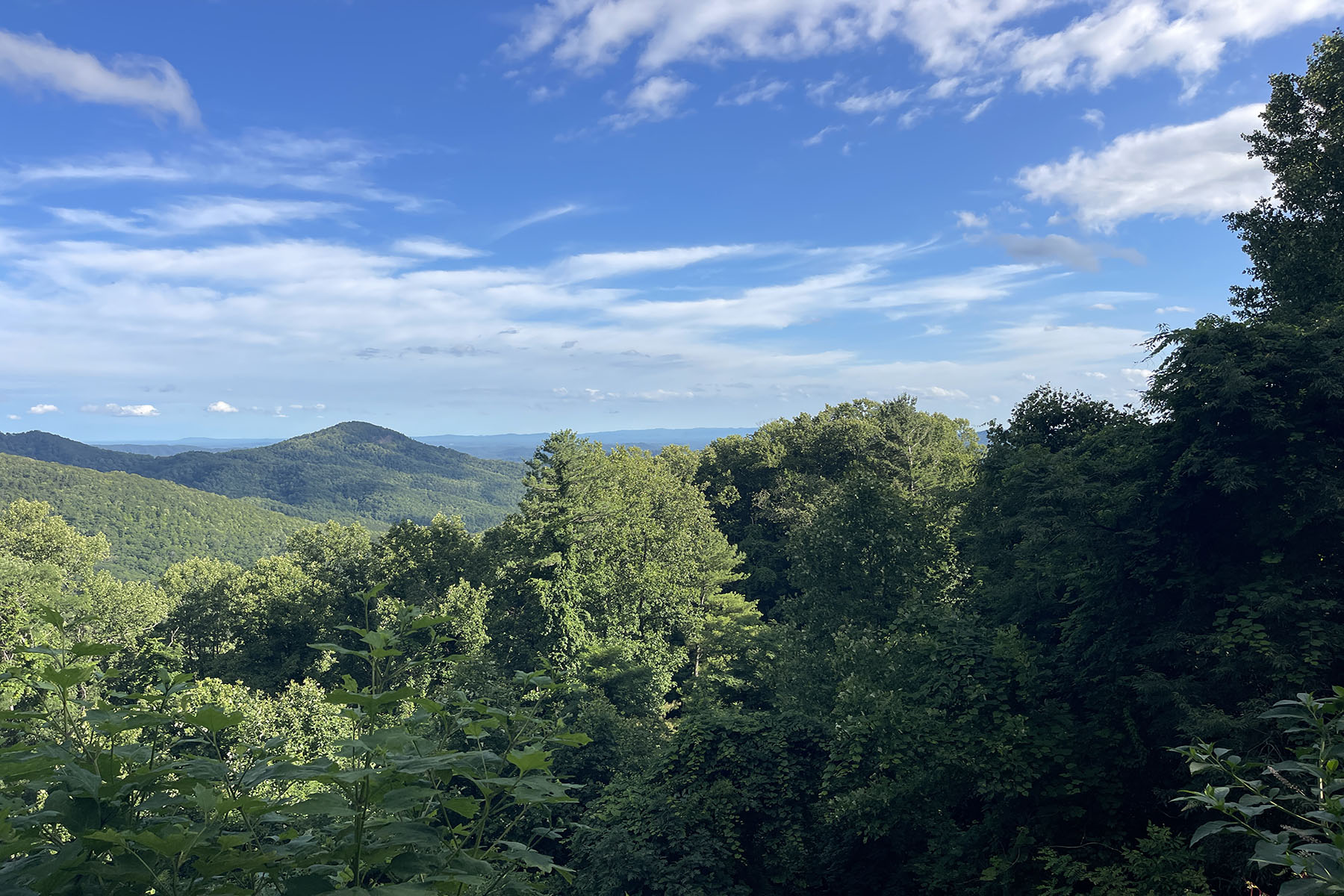  SCENIC ACRES - BLOWING ROCK - 物件實景