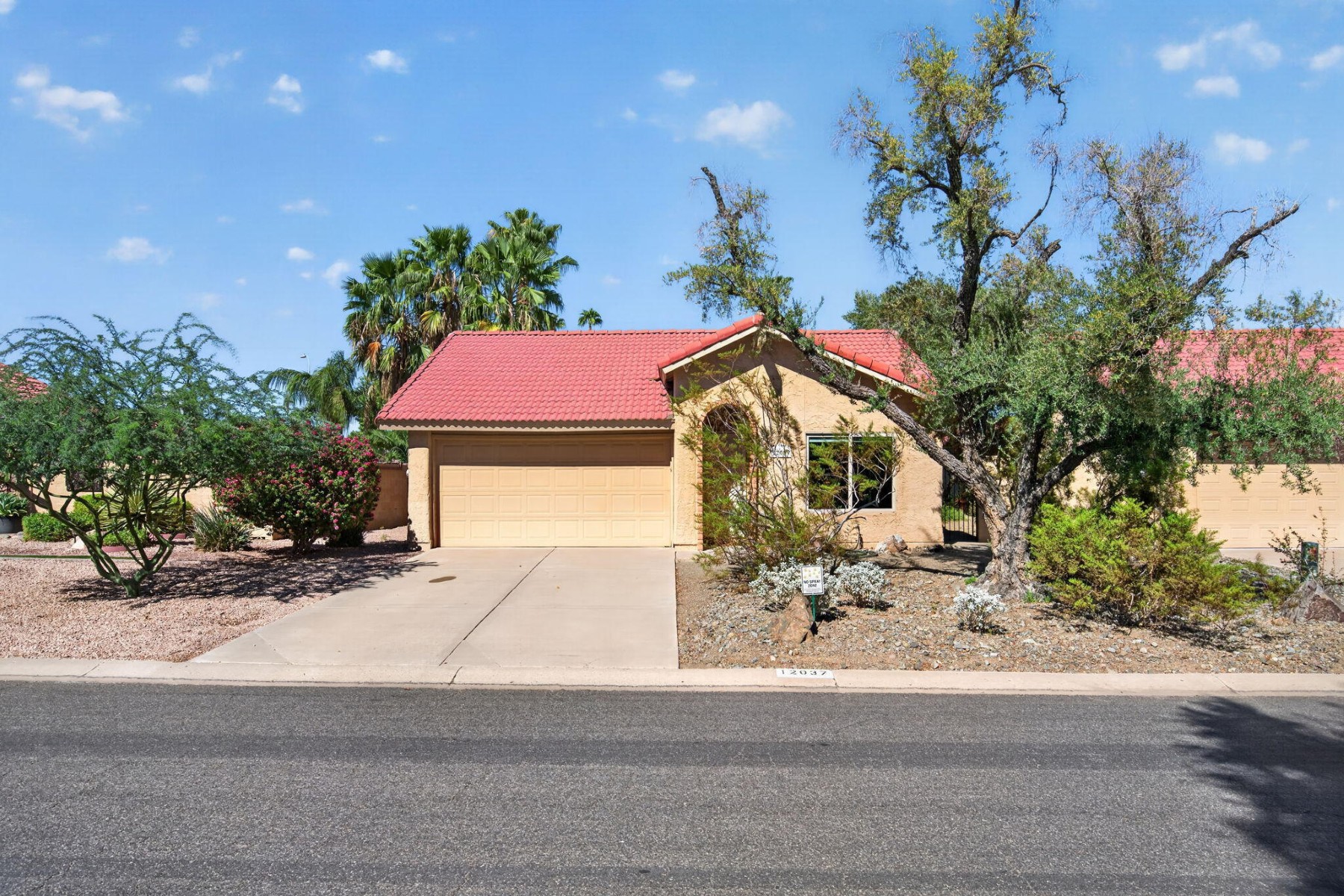  12037 S Half Moon Drive  Phoenix, AZ - 物件實景