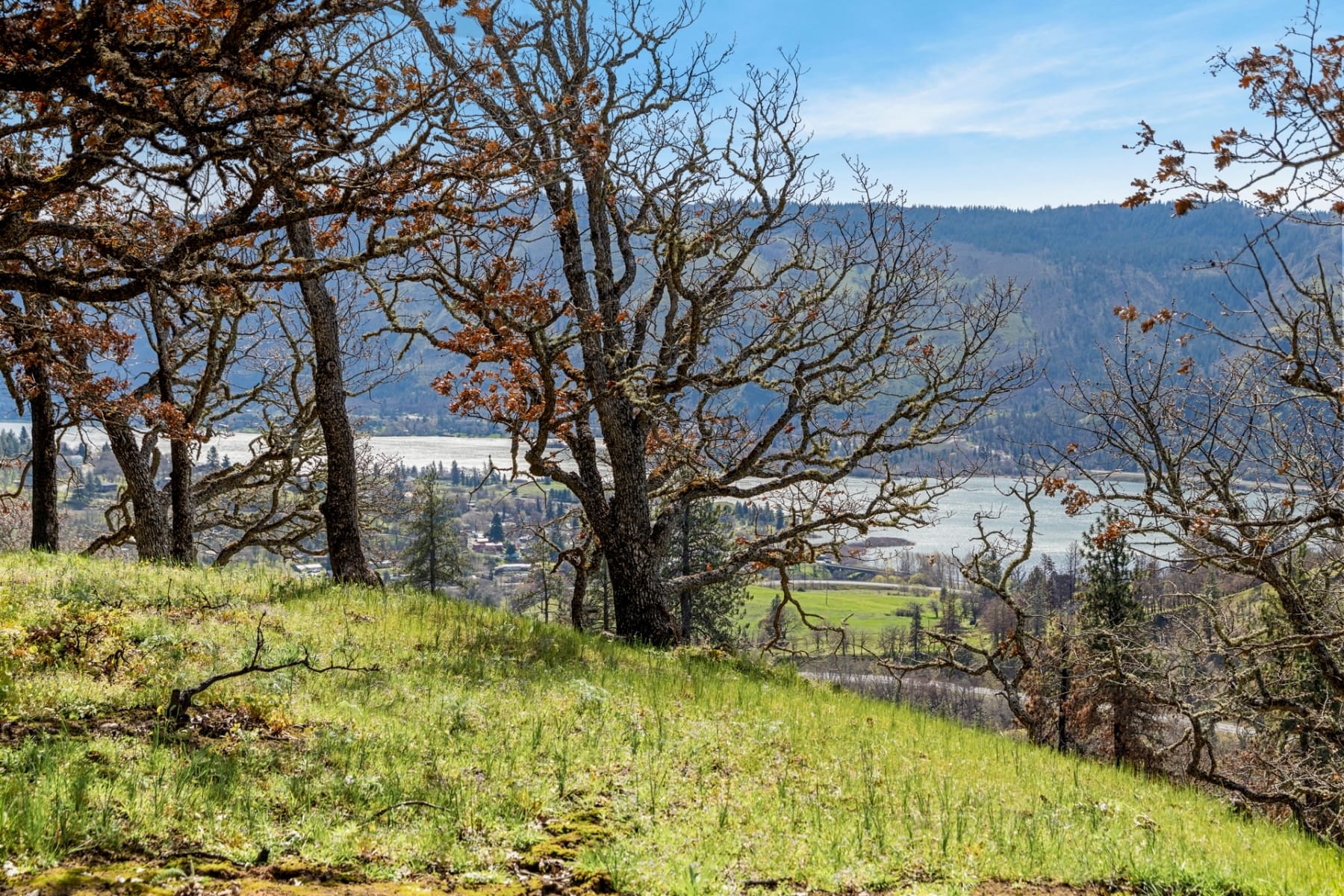  10 CANYON RD Lyle, WA 98635 - 物件實景