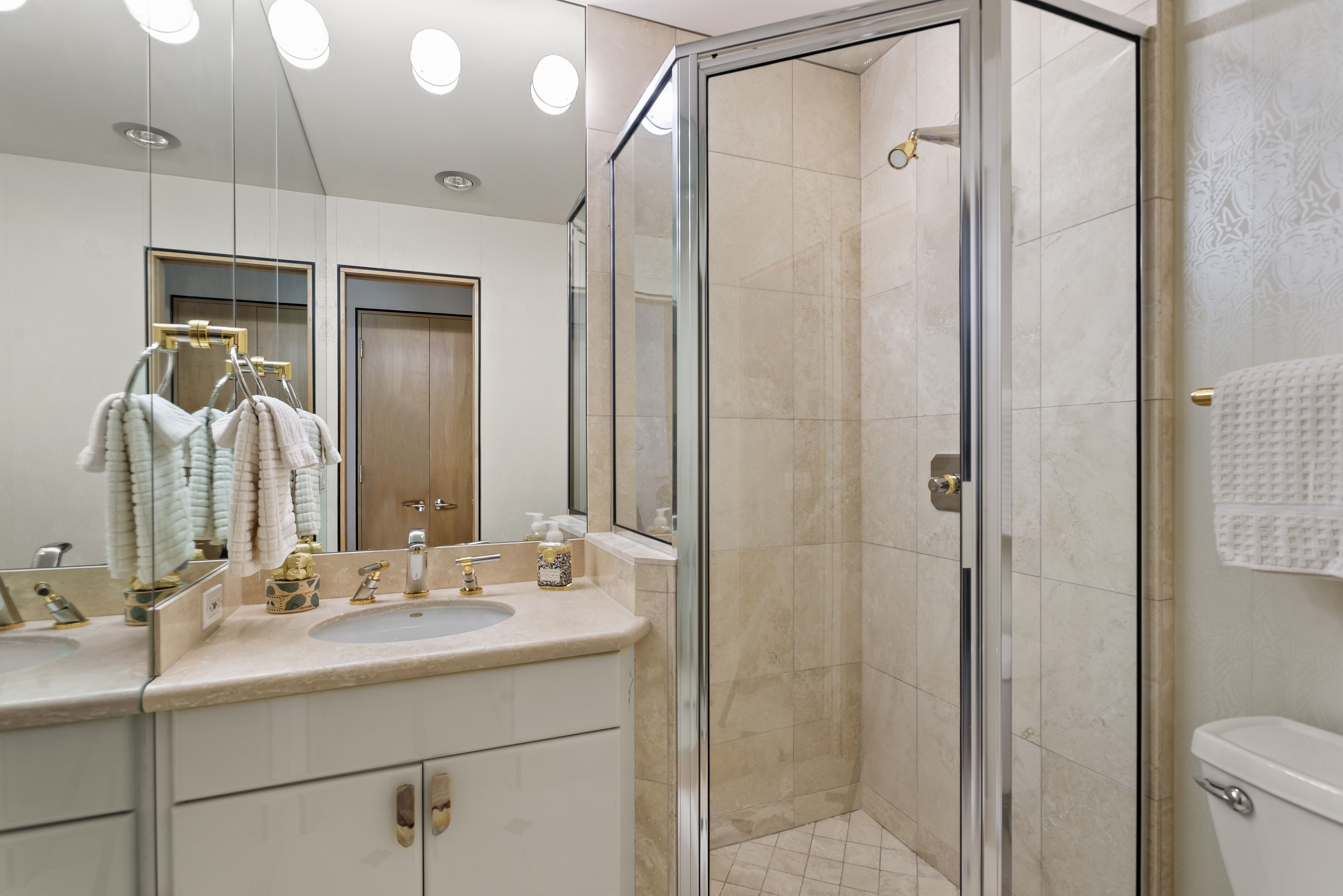  530 West Francis Street, Aspen, CO 81611 - 物件實景