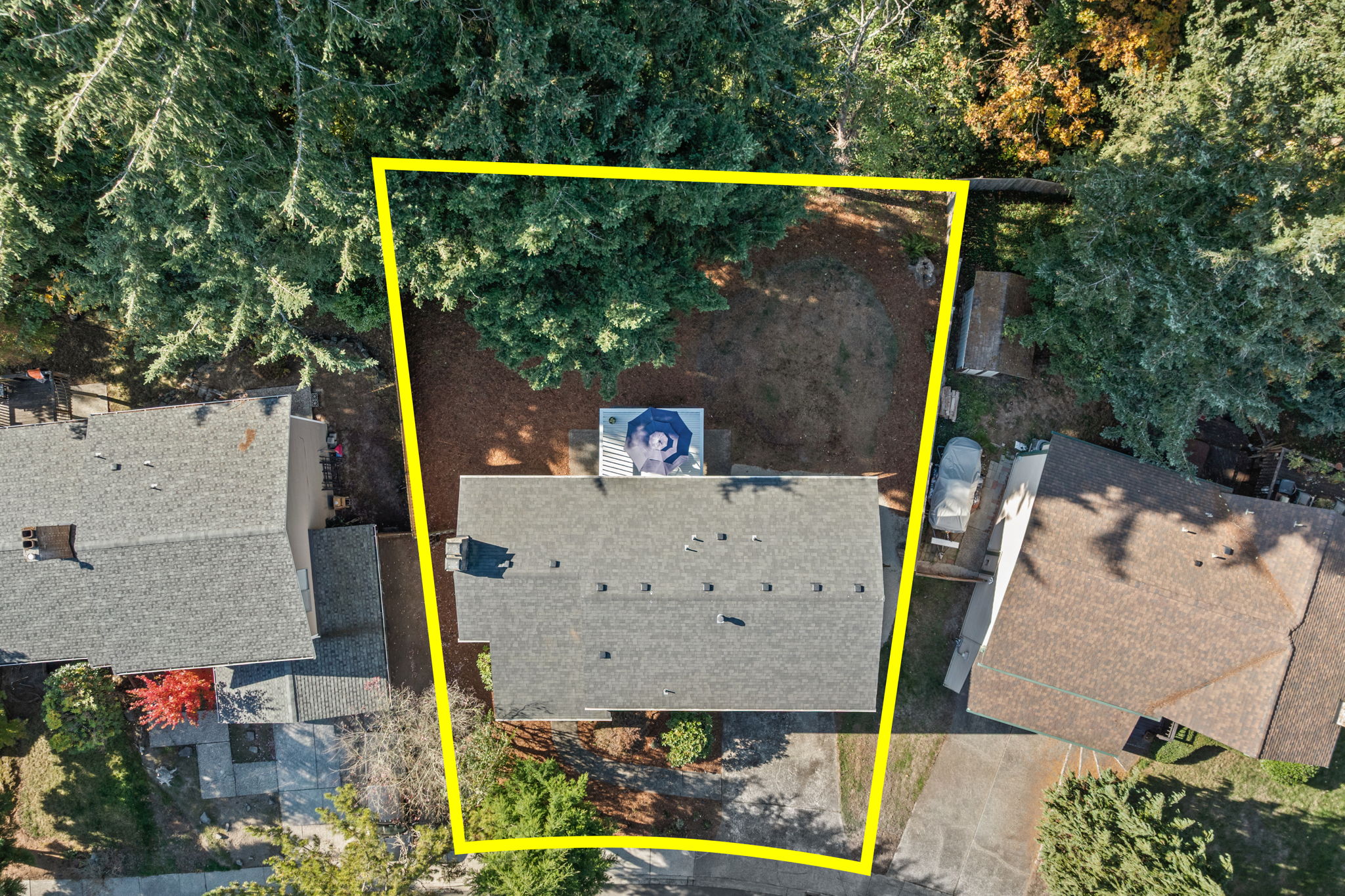  31711 25th Ave SW, Federal Way, WA 98023 - 物件實景