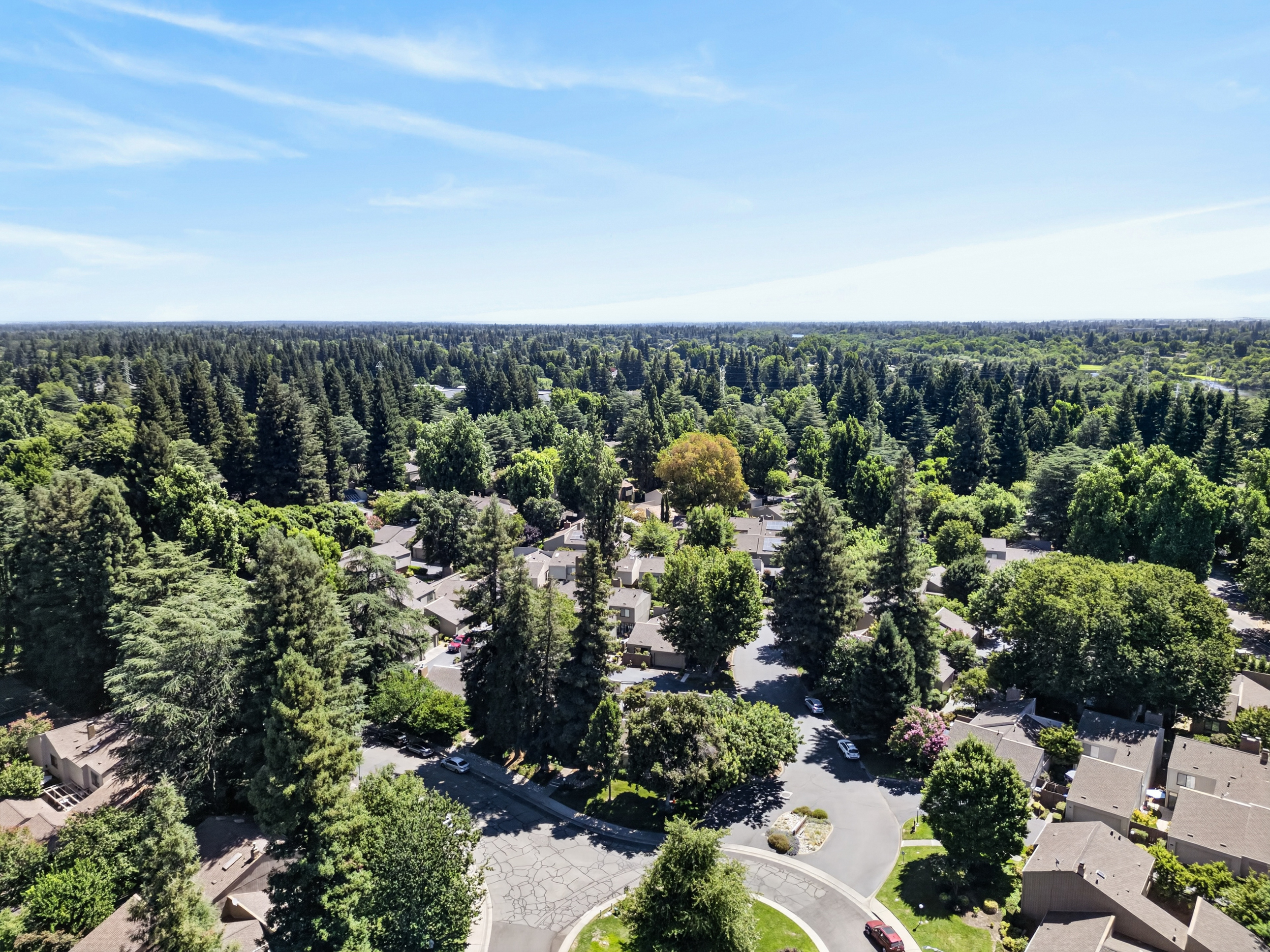  1427 Commons Drive, Sacramento, CA 95825 - 物件實景