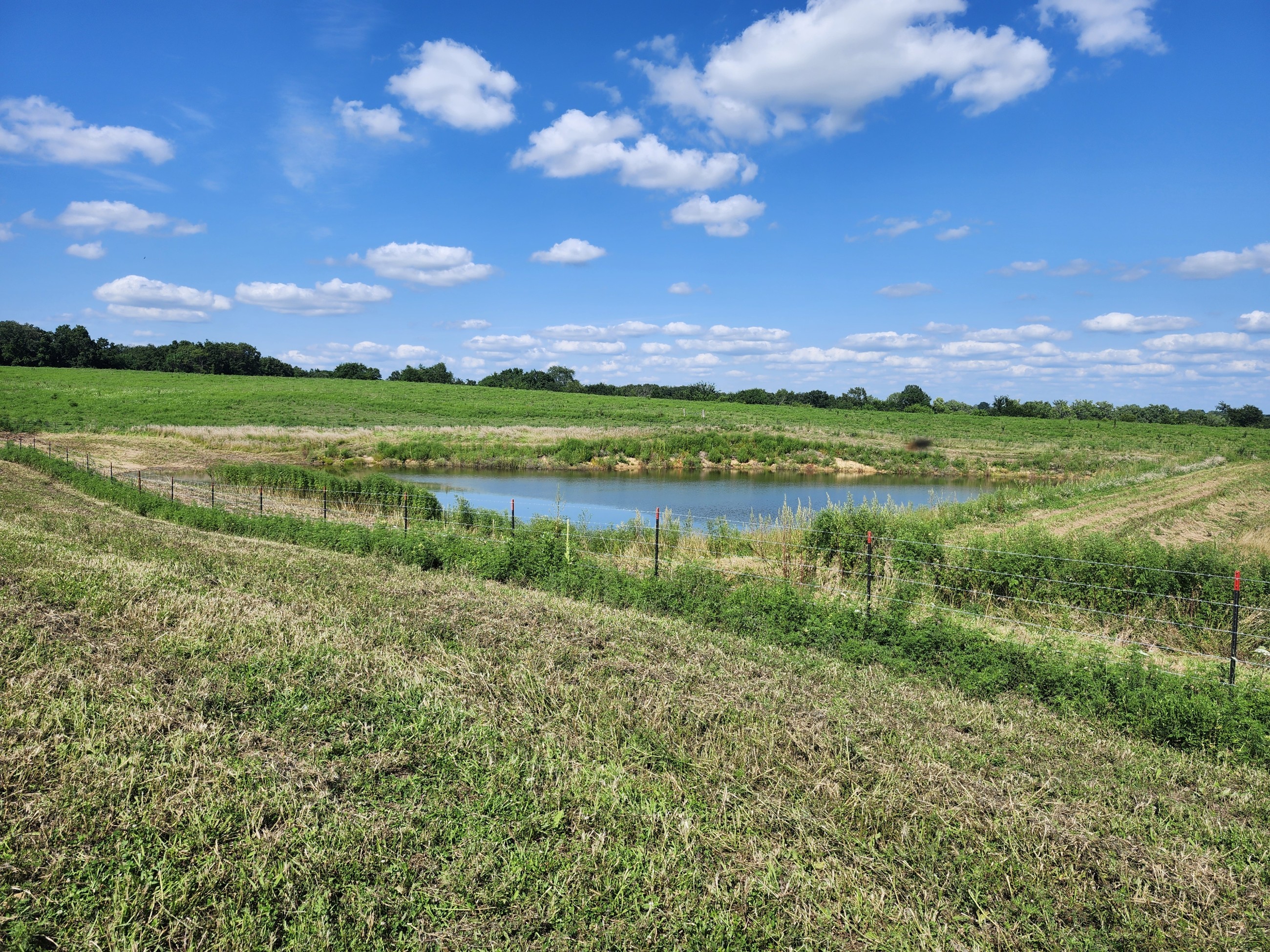 Princeton, Missouri, 64673, United States, ,Land,For Sale,2001559