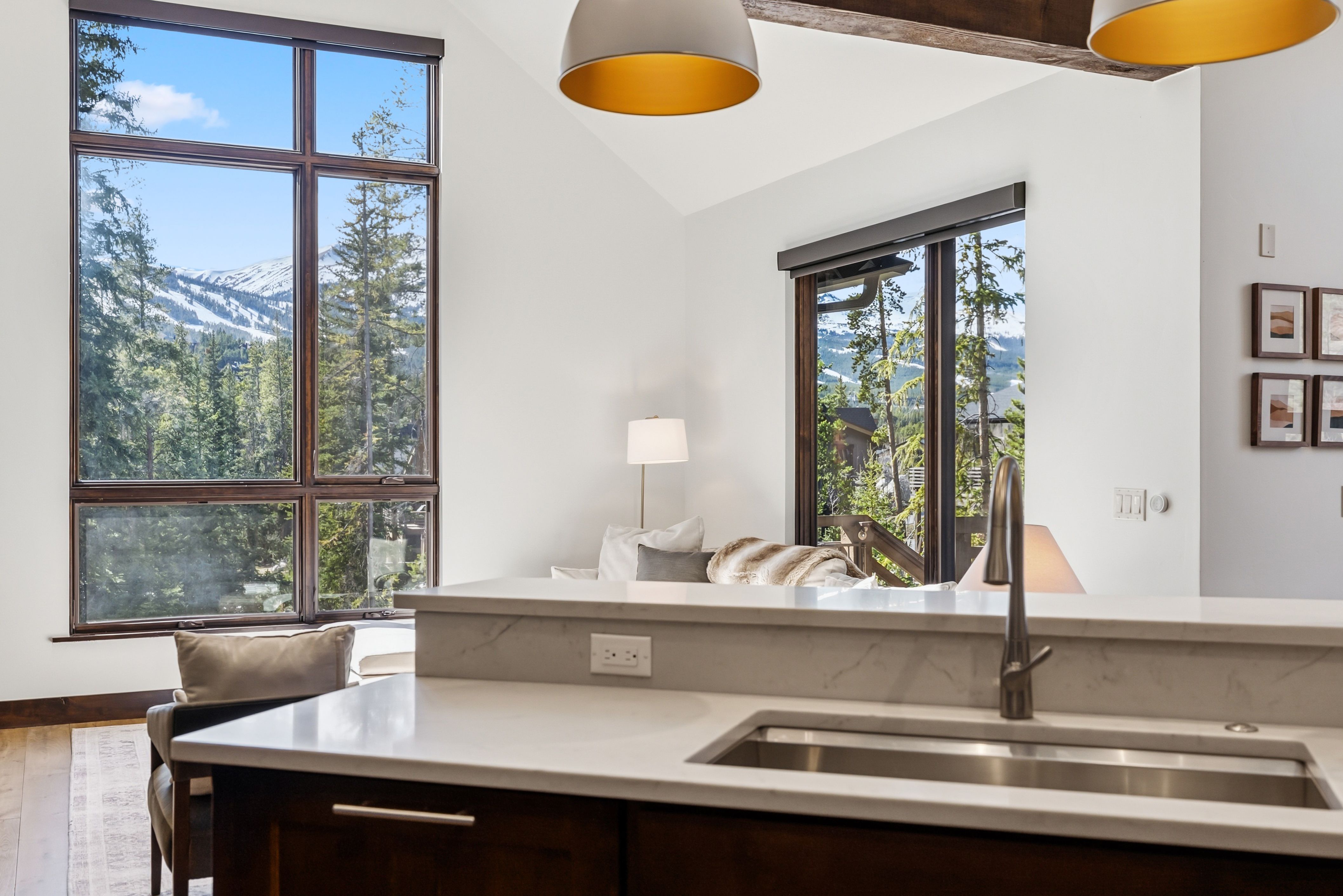  341 River Park Drive, Breckenridge, CO, 80424 - 物件實景