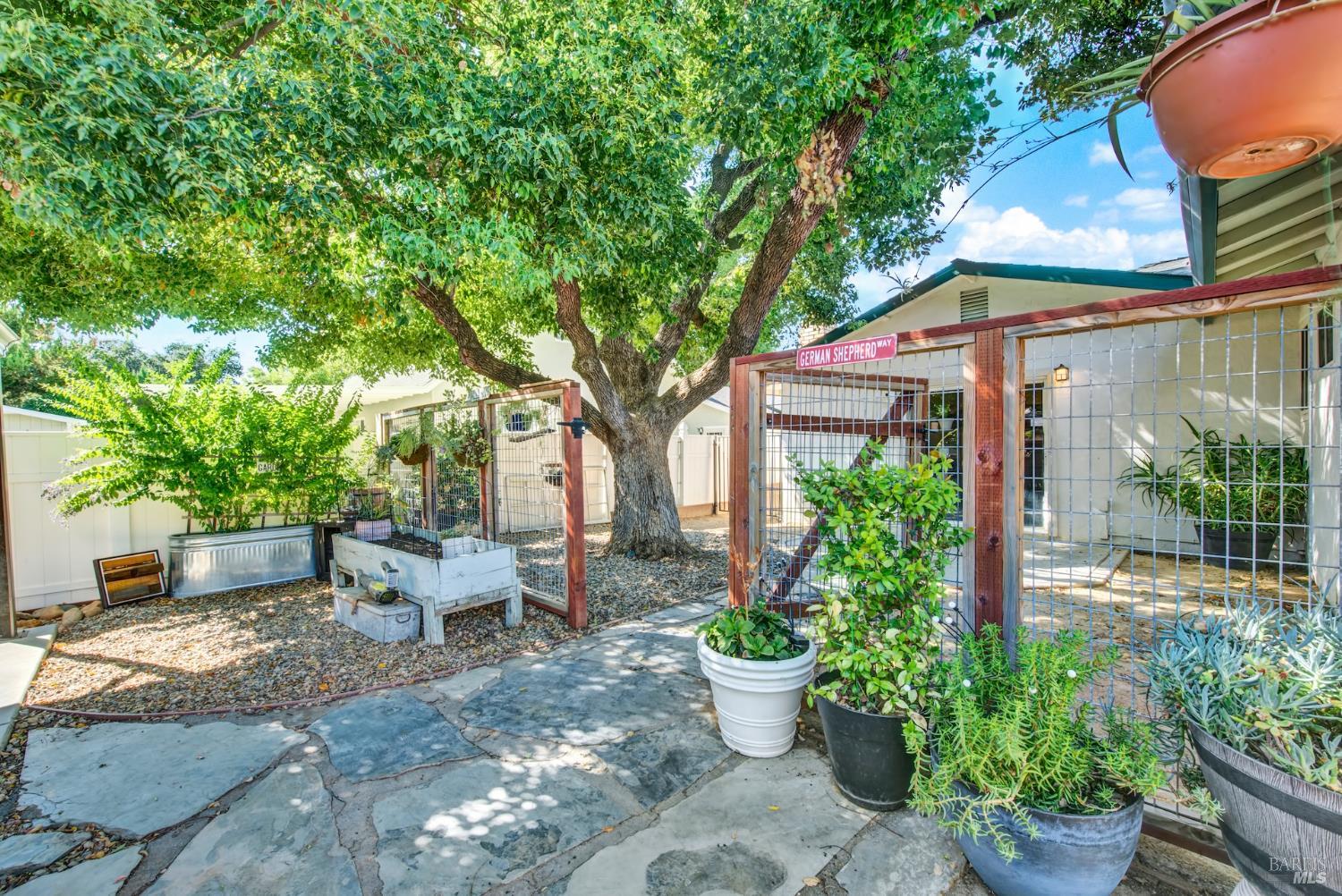 Vacaville, California, 95687, United States, 3 Bedrooms Bedrooms, ,2 BathroomsBathrooms,Residential,For Sale,1940371