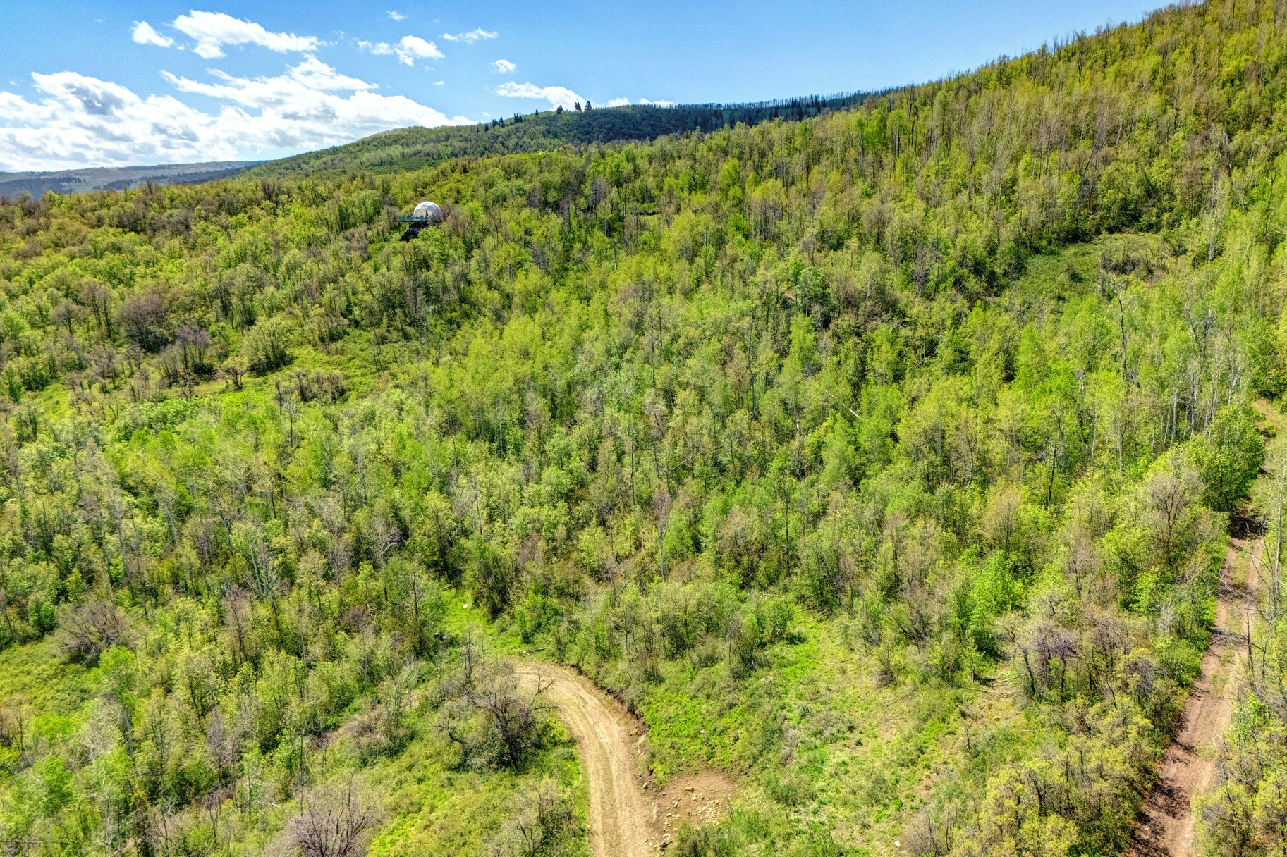  Wooded 5 acres No HOA - 物件實景