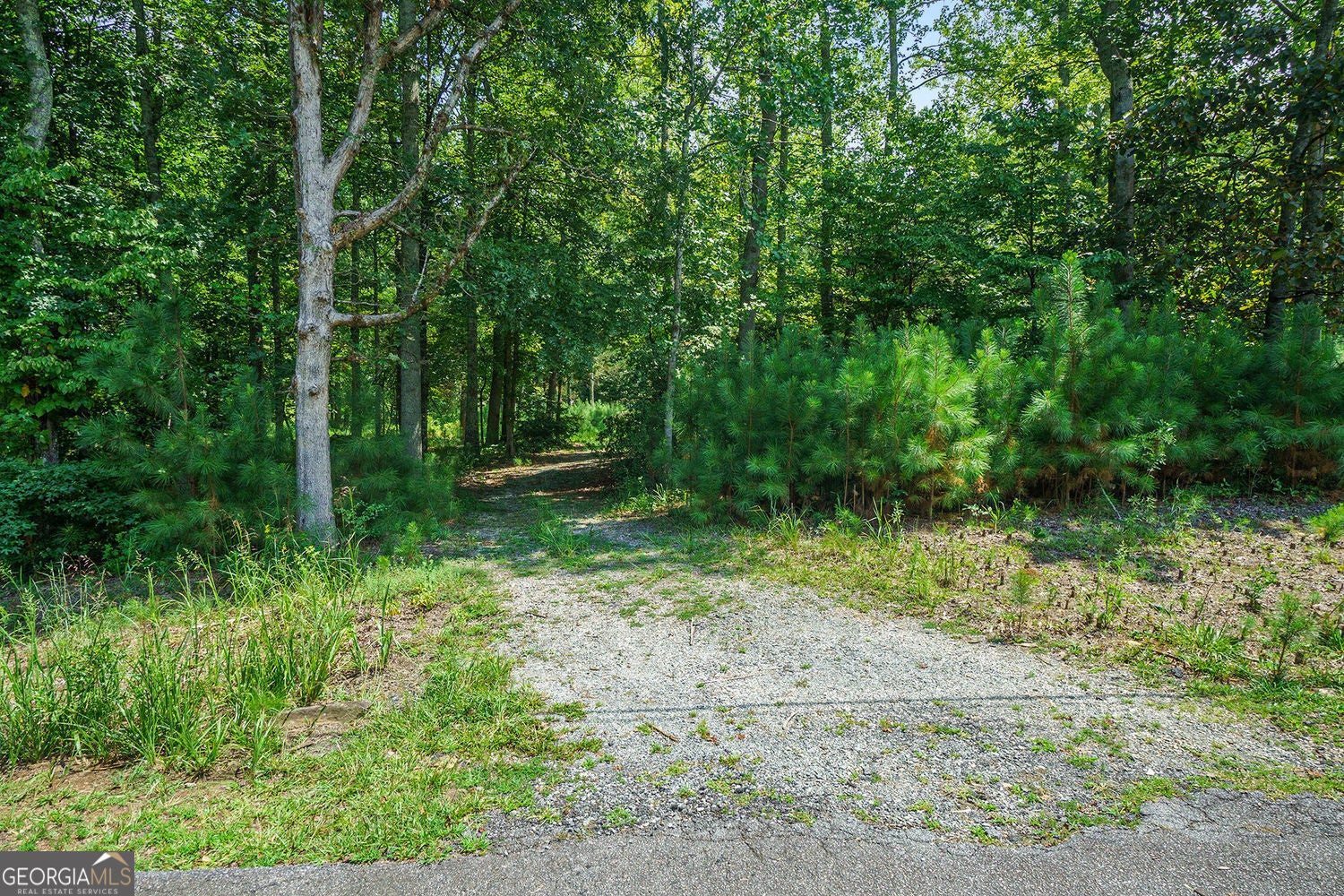 Marietta, Georgia, 30066, United States, ,Land,For Sale,1922555