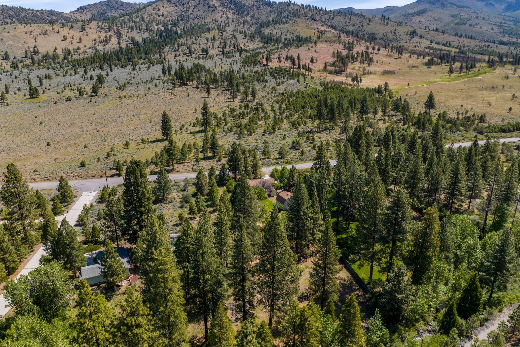  Sweet home on 1.24 acres in Sierra Brooks - 物件實景