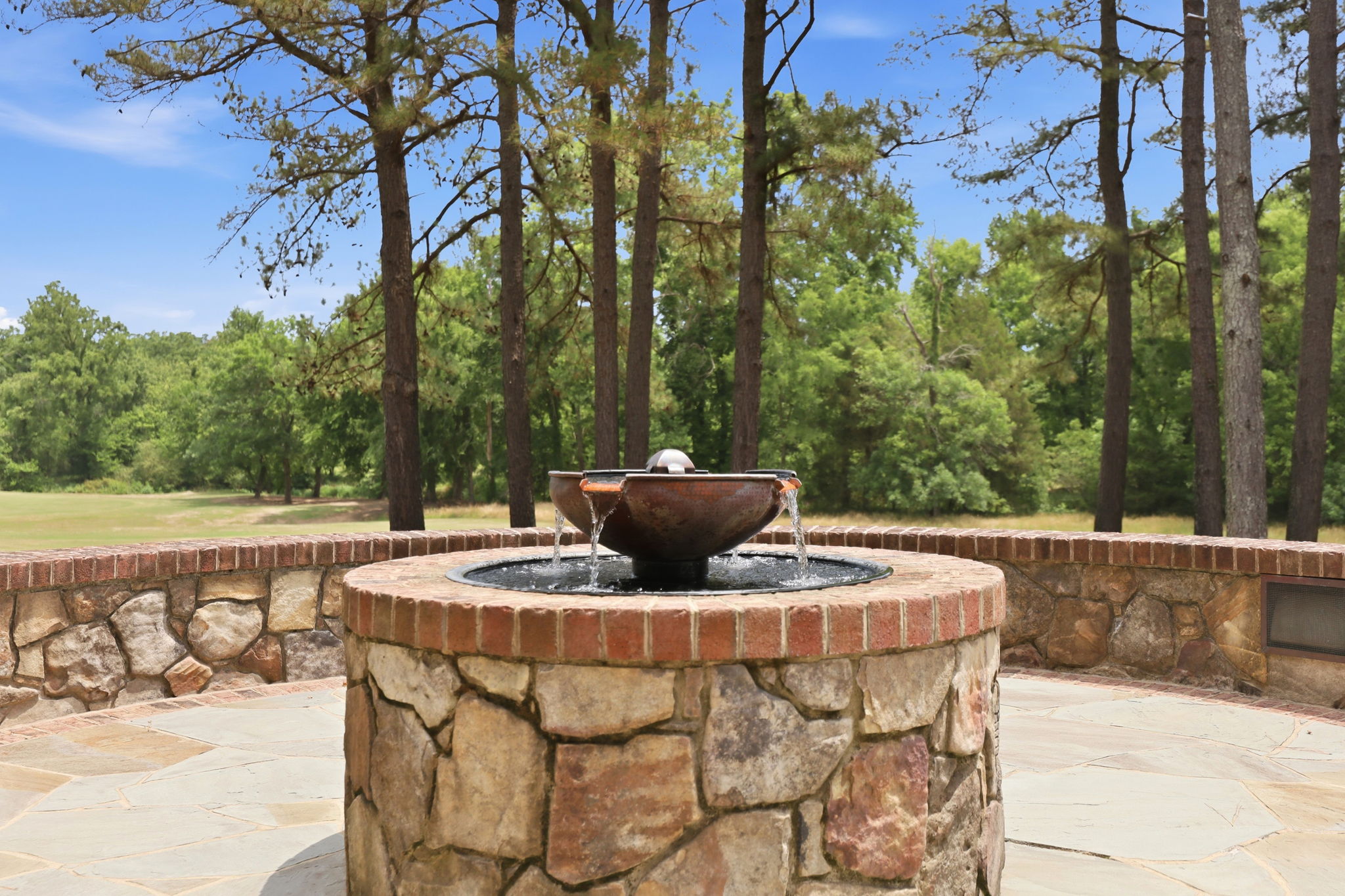  12345 Richmond Run Drive, Raleigh, NC 27614 - 物件實景