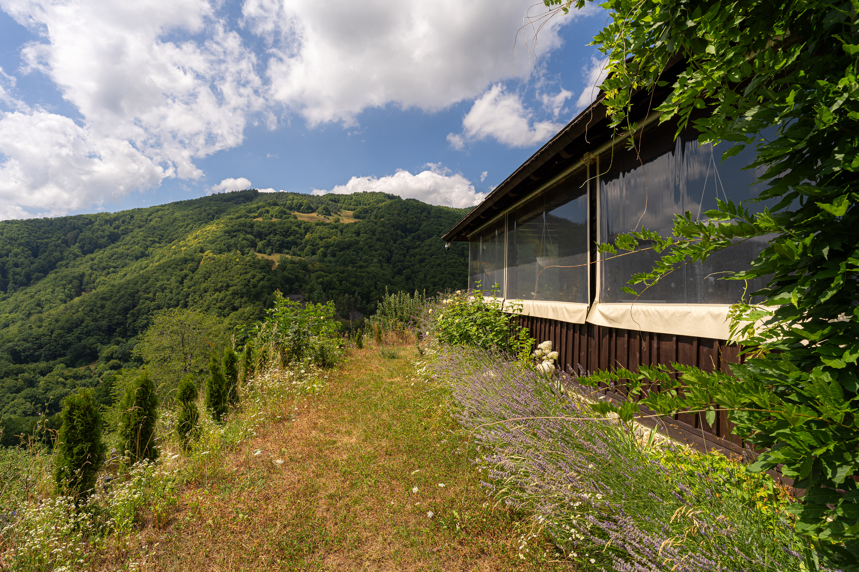  Versatile 22-Hectare Private Estate - Forested Heart of the Apuseni Mountains - 物件實景