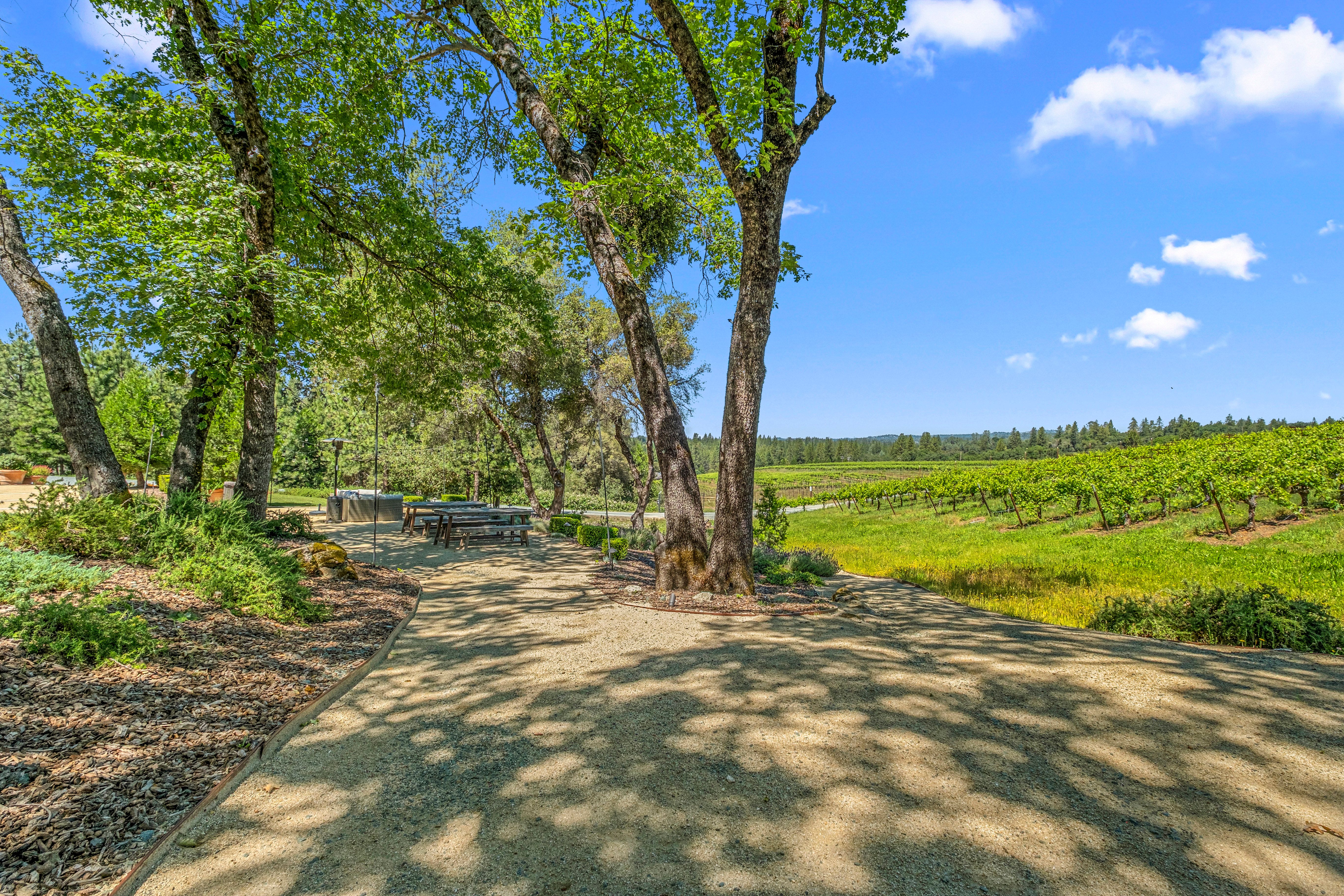  7460 Fairplay Road, Somerset, CA 95684 - 物件實景