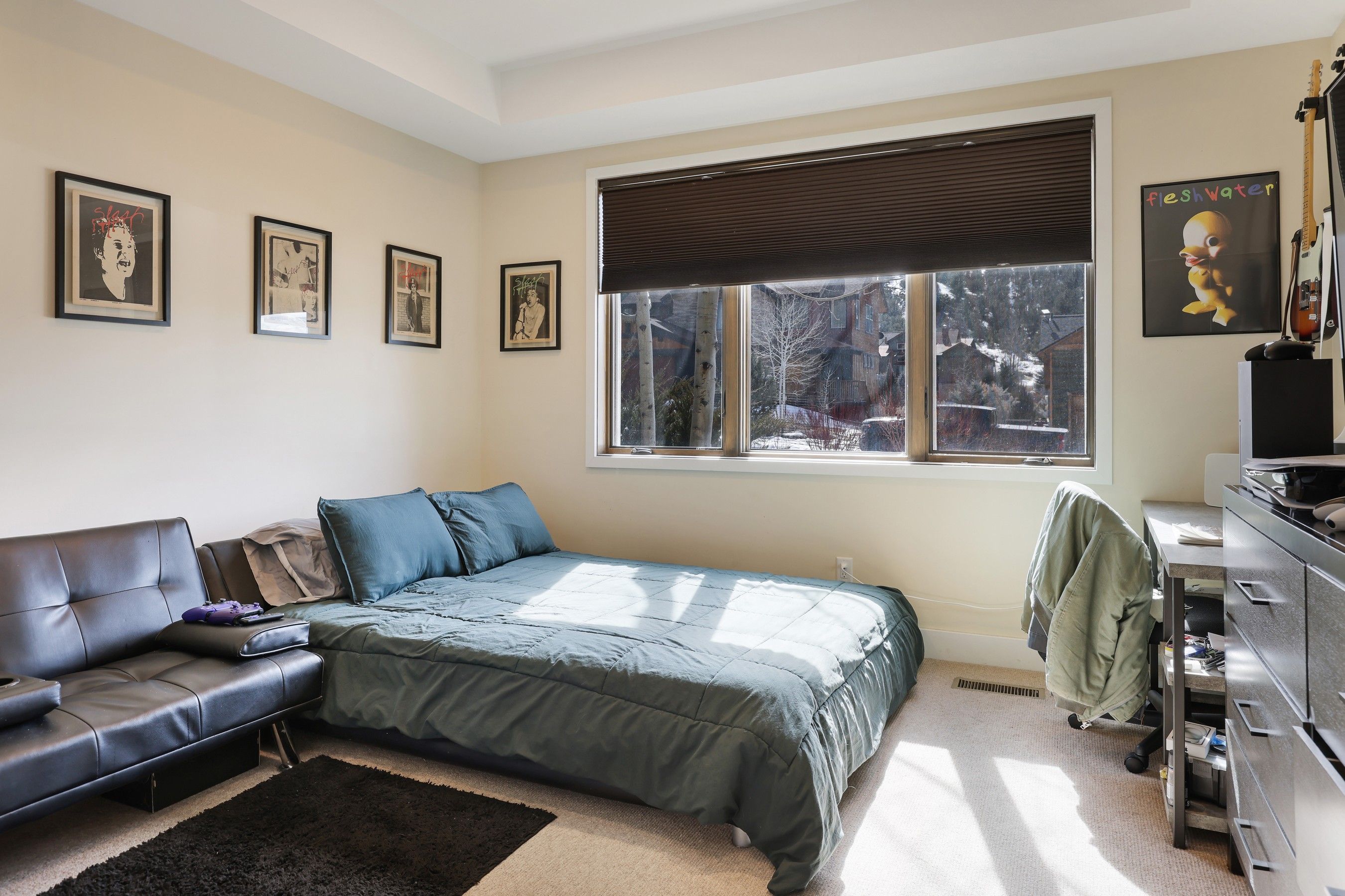  99 Sage Meadow Road, Glenwood Springs, CO, 81601 - 物件實景