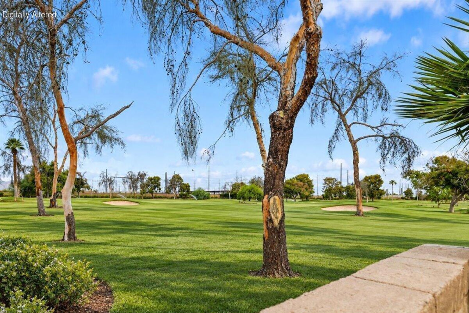  7526 S Forest Avenue¦Tempe, AZ - 物件實景