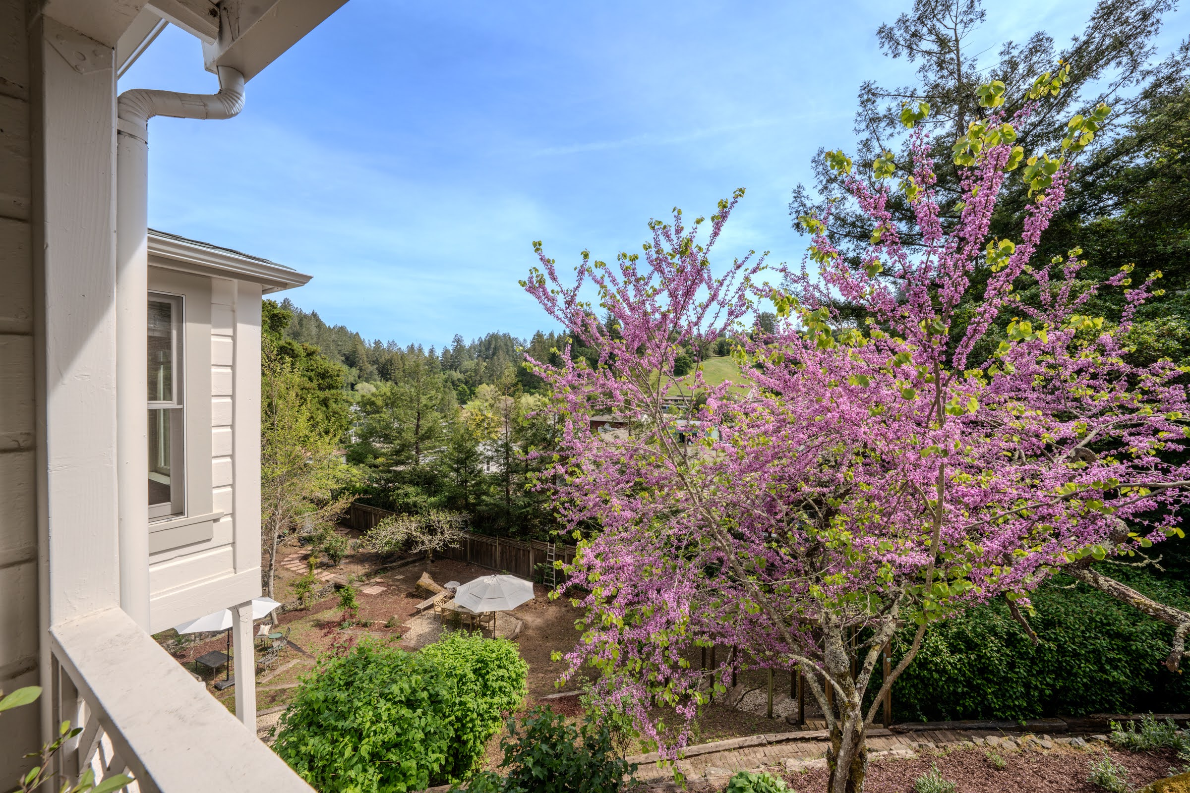  14952 Coleman Valley Road - 物件實景