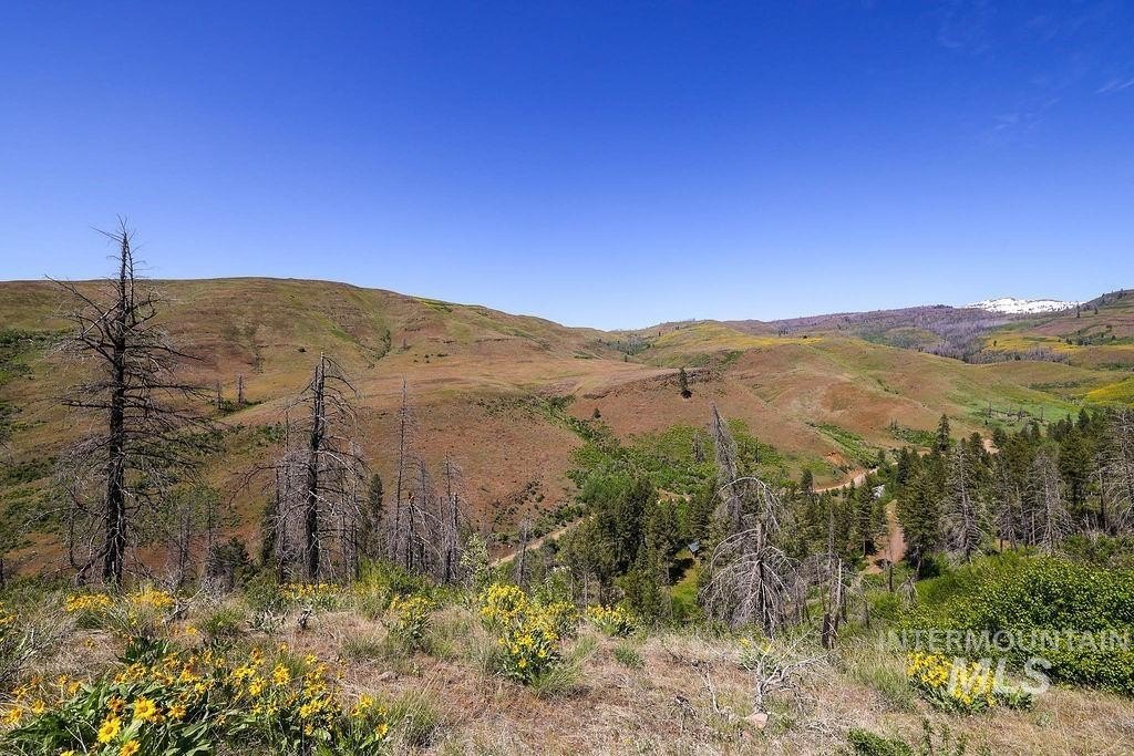 Council, Idaho, 83612, United States, ,Residential,For Sale,1862004