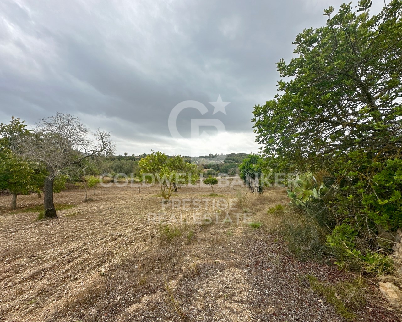 Mallorca, Art?, Art? Mallorca, Art?, Art? Mallorca, Artà, Balearic Islands, 07570, ES, 5 Bedrooms Bedrooms, ,2 BathroomsBathrooms,Residential,For Sale,Mallorca, Art?, Art? Mallorca, Art?, Art? Mallorca,1623997