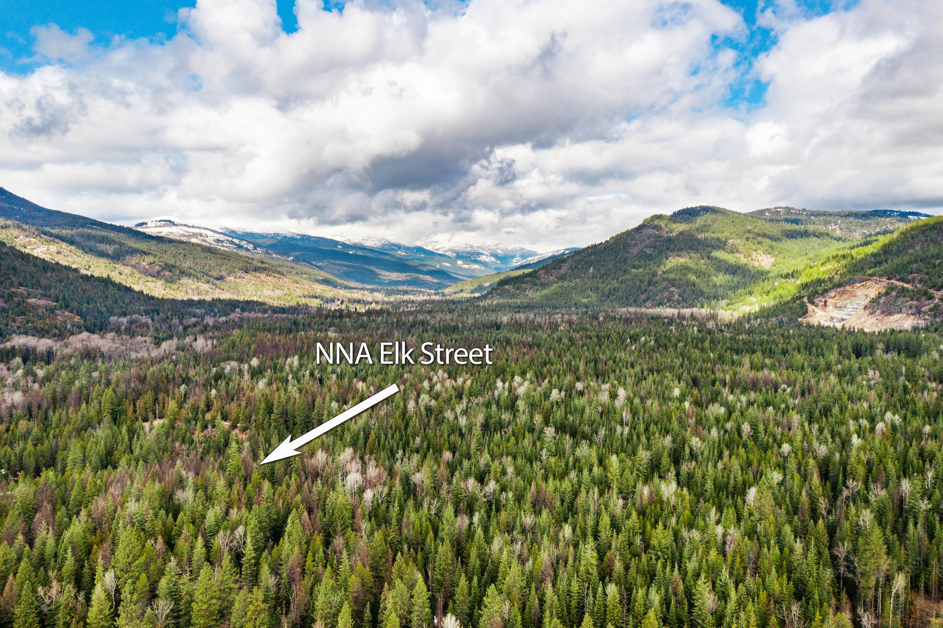 Sandpoint, Idaho, 83864, United States, ,Land,For Sale,2016068