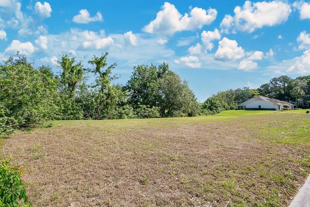 Windermere, Florida, 34786, United States, ,Land,For Sale,1885858