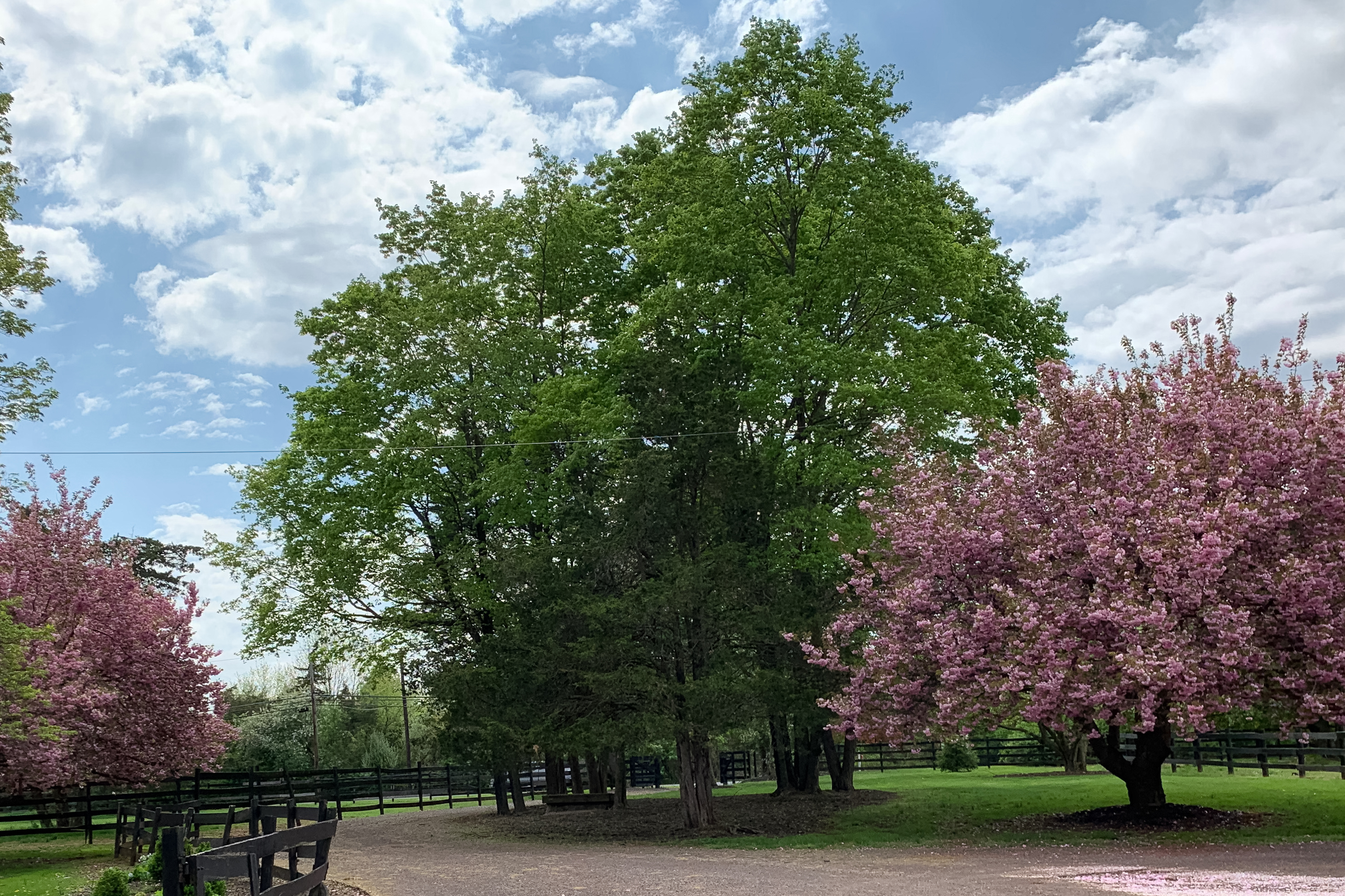  Turn-key Exceptional Princeton Area Equestrian Estate and Preserved Farm - 物件實景